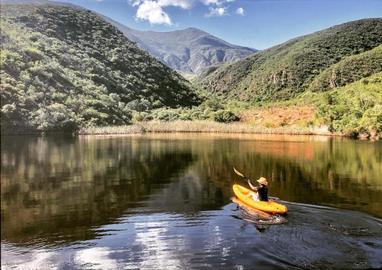 Pat Busch Mountain Reserve