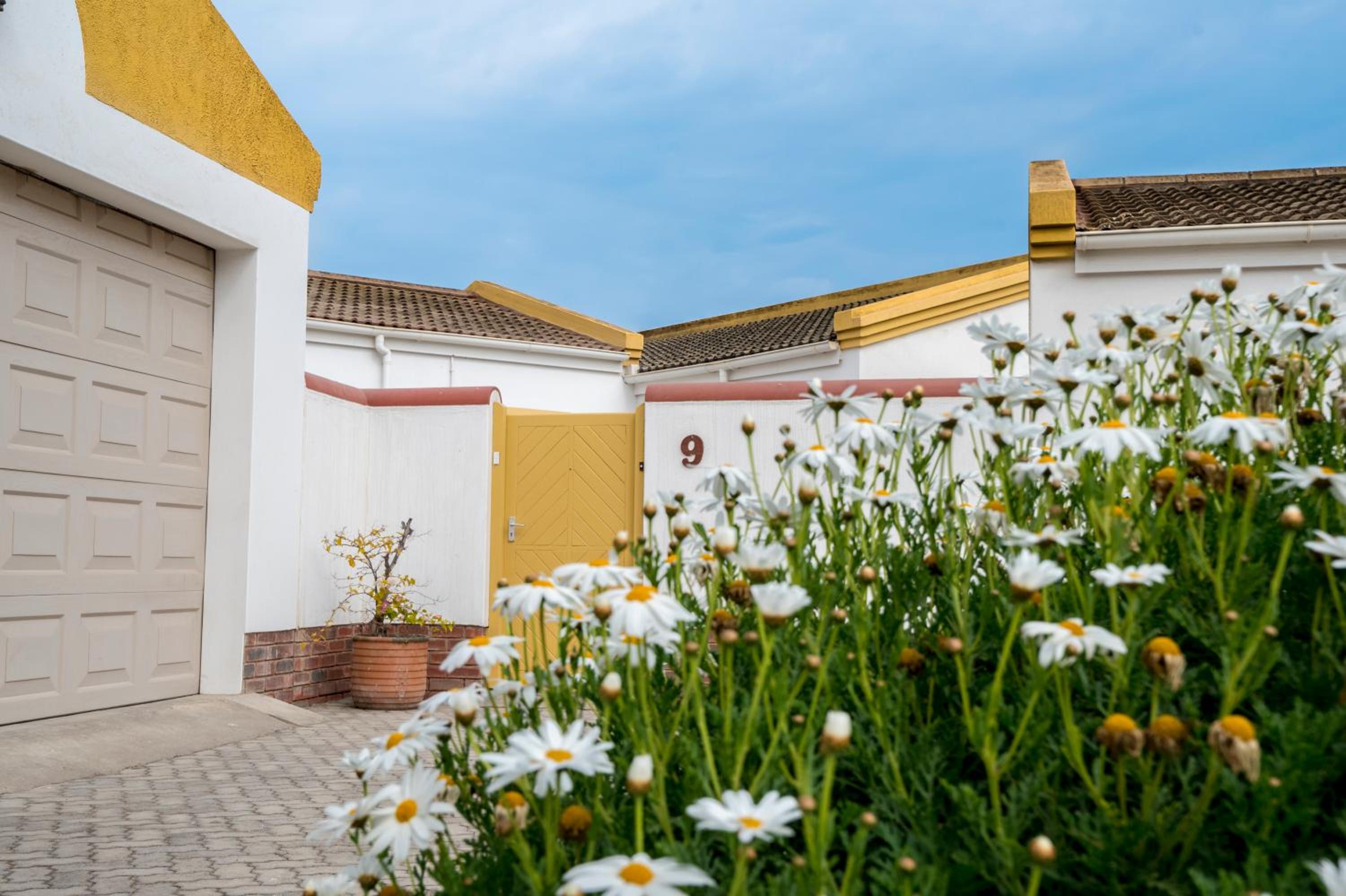Nordstrand Self-Catering Flat view 3