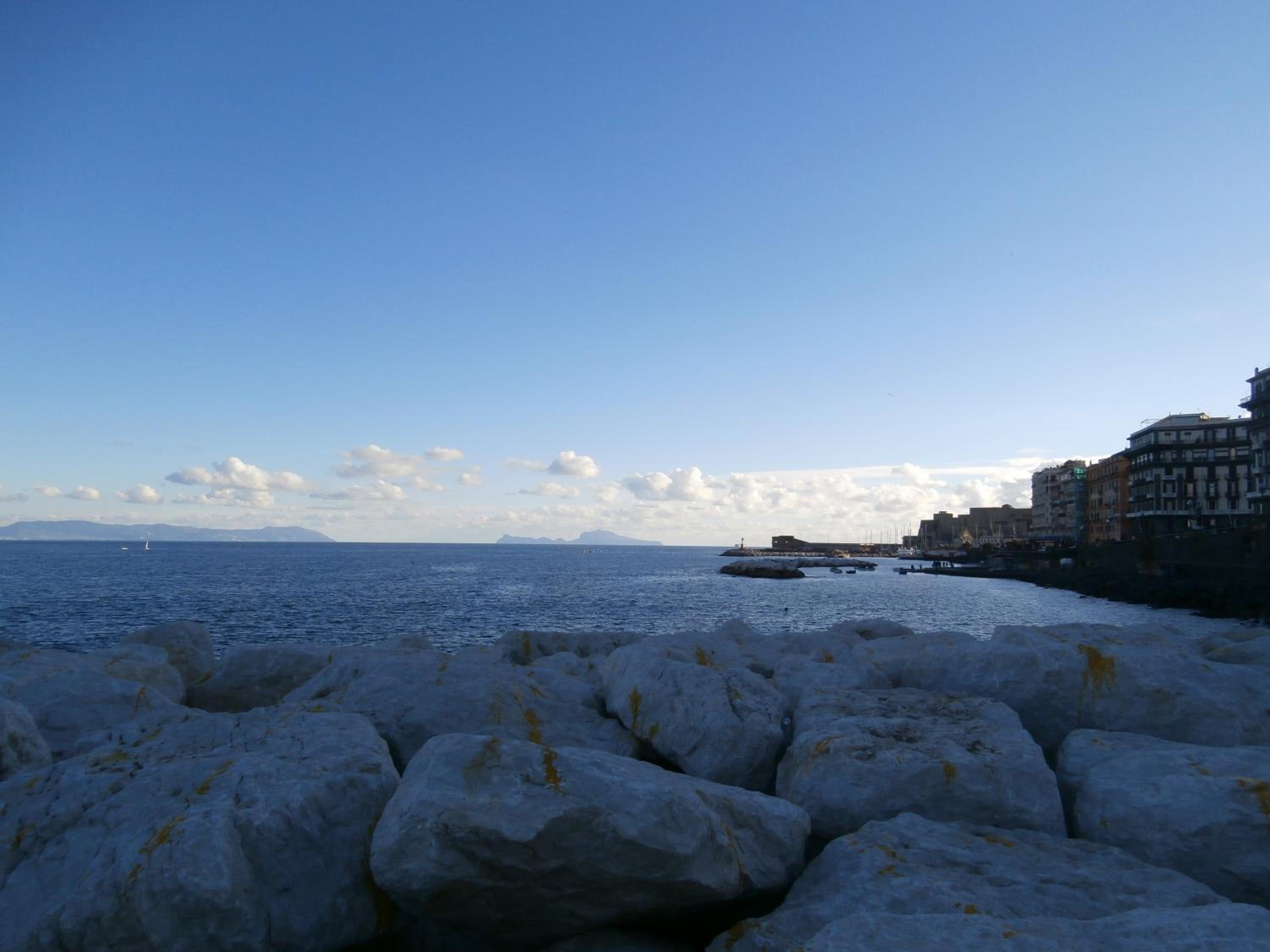 International Naples