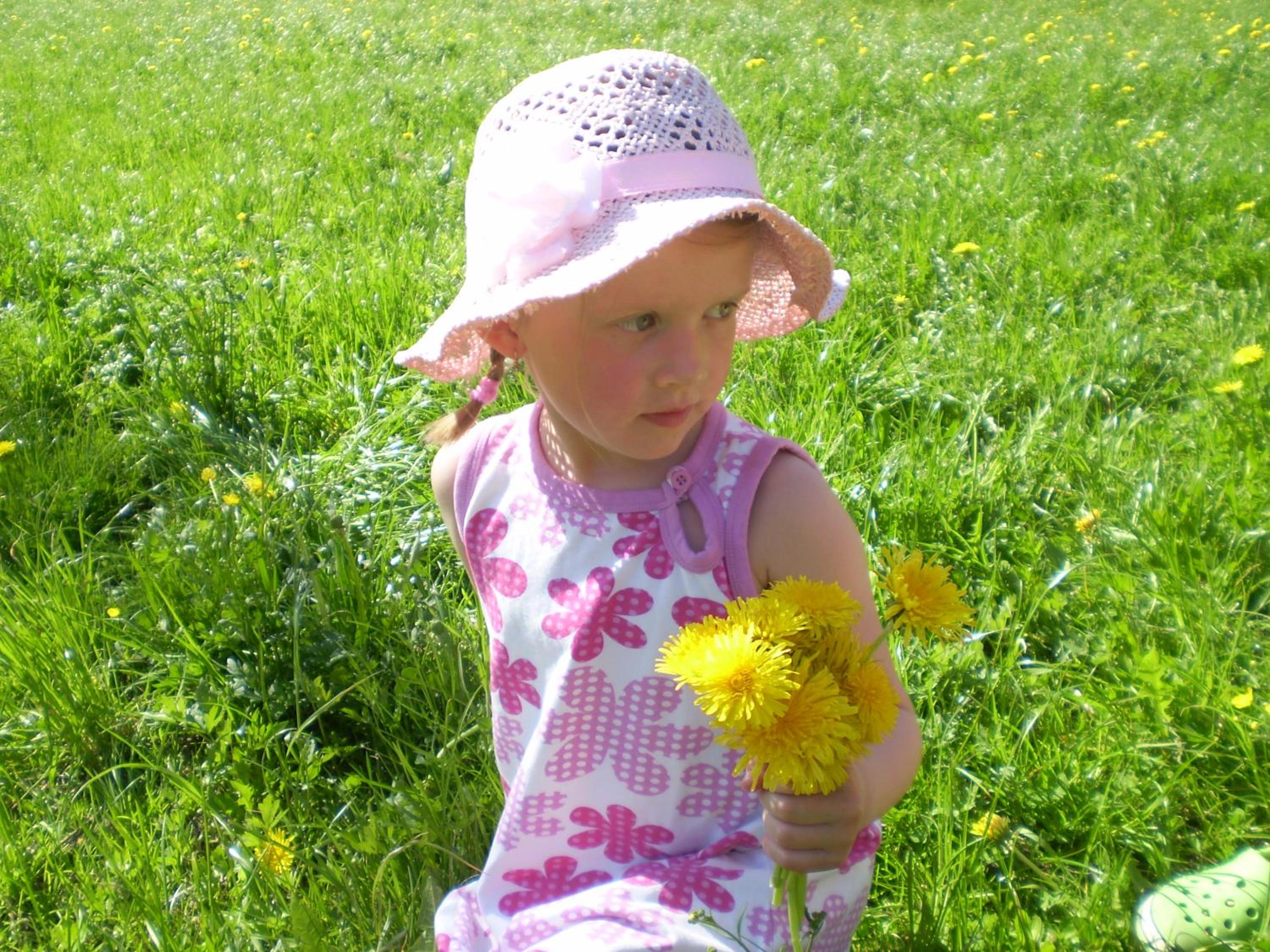 Photo 46