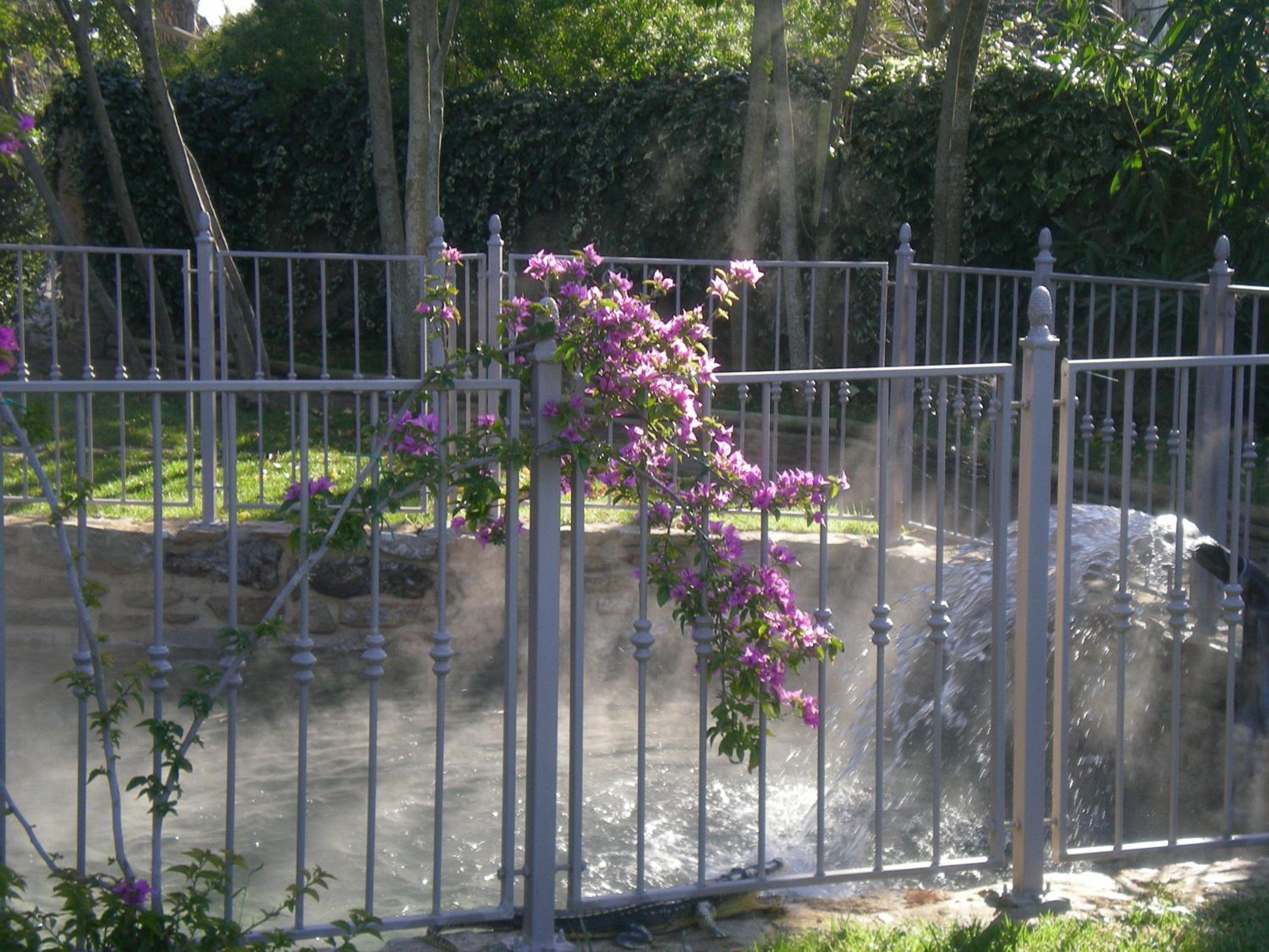 Photo 24
