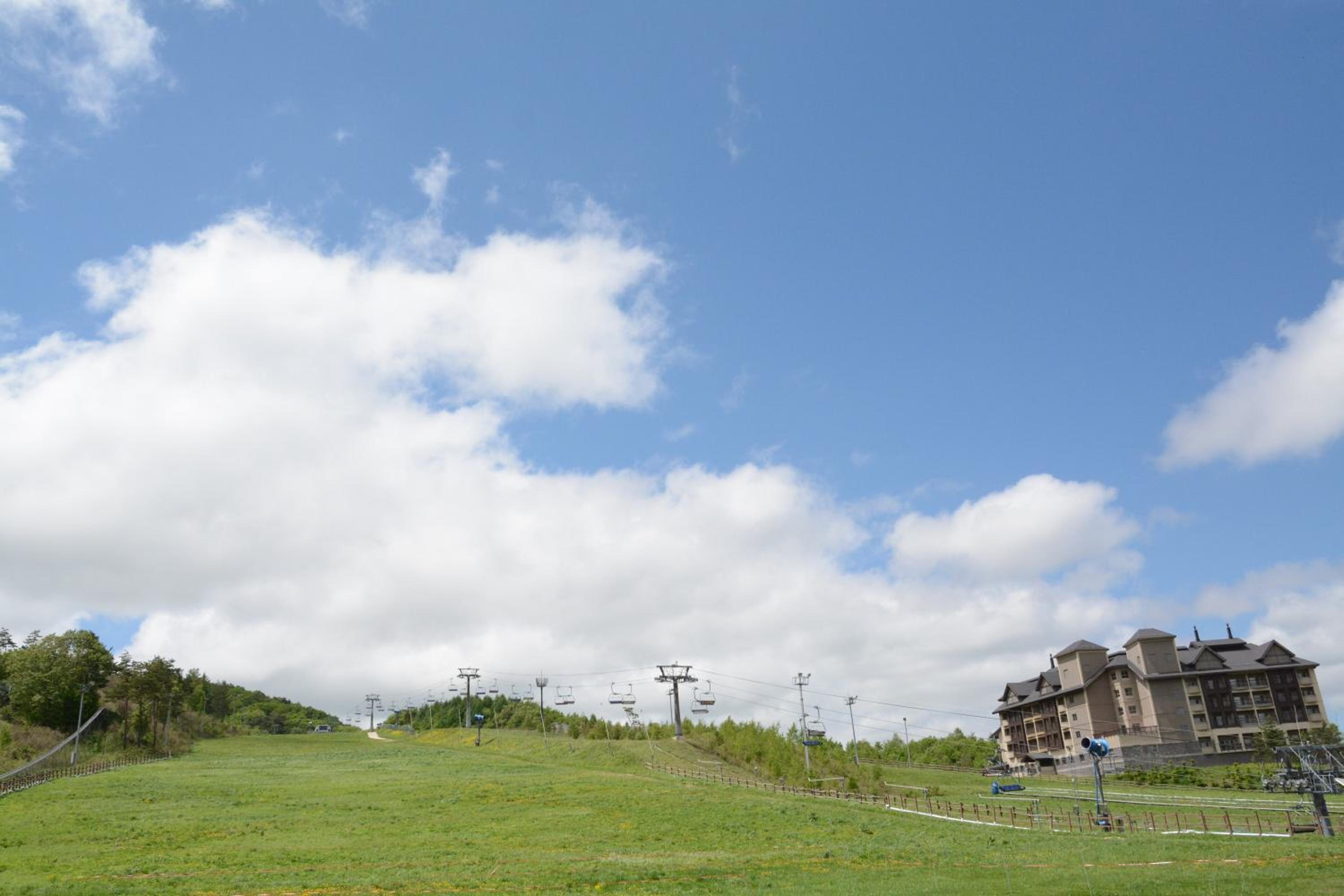 Holiday Inn & Suites Alpensia Pyeongchang Suites by IHG, Pyeongchang - 4