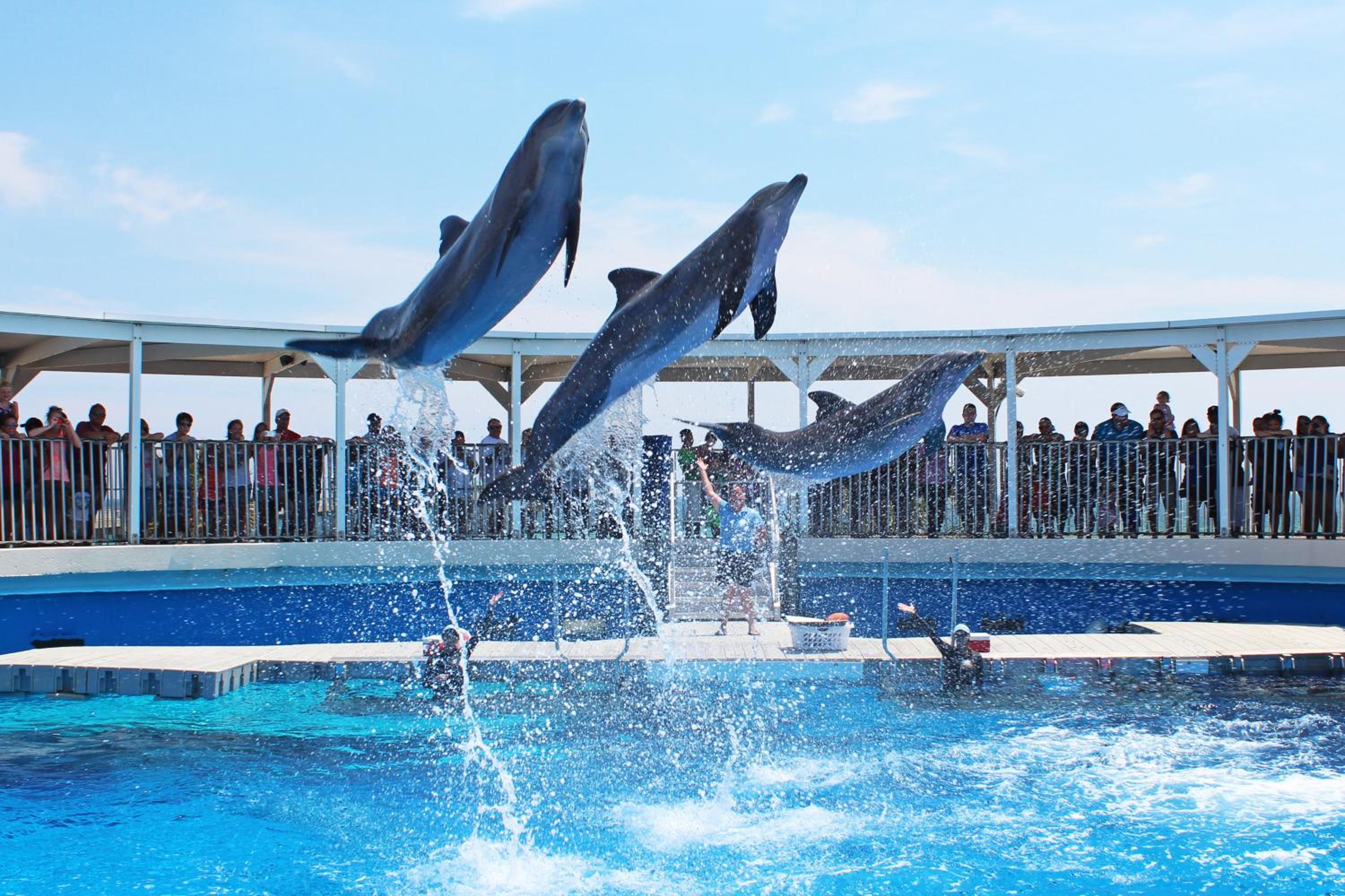 Holiday Inn Resort Fort Walton Beach by IHG
