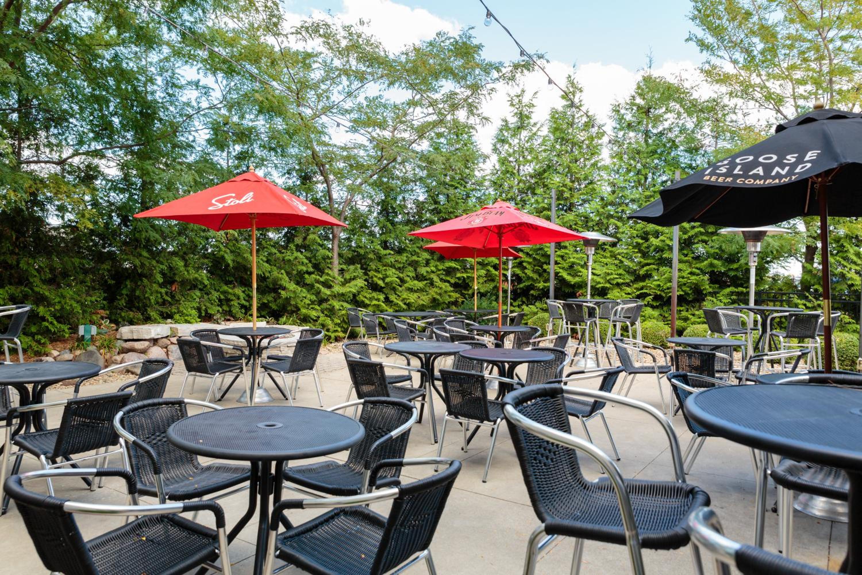 Bloomington Vacations - Holiday Inn Hotel  Suites Bloomington Airport, an IHG Hotel - Property Image 5