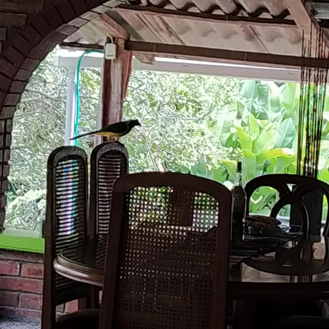 La Acuarela, Posada de La Monita