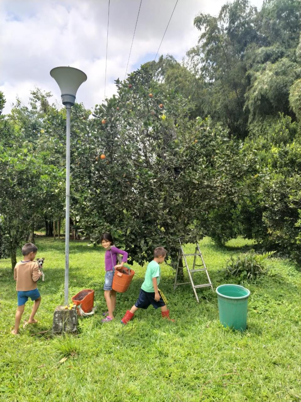 La Acuarela, Posada de La Monita