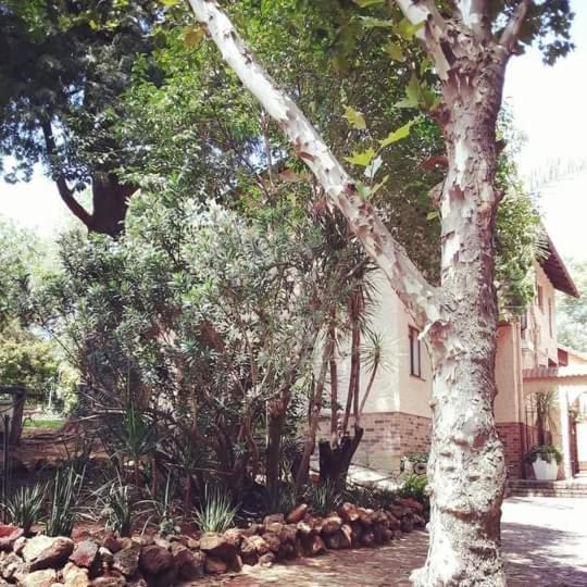 Ferndale Lodge