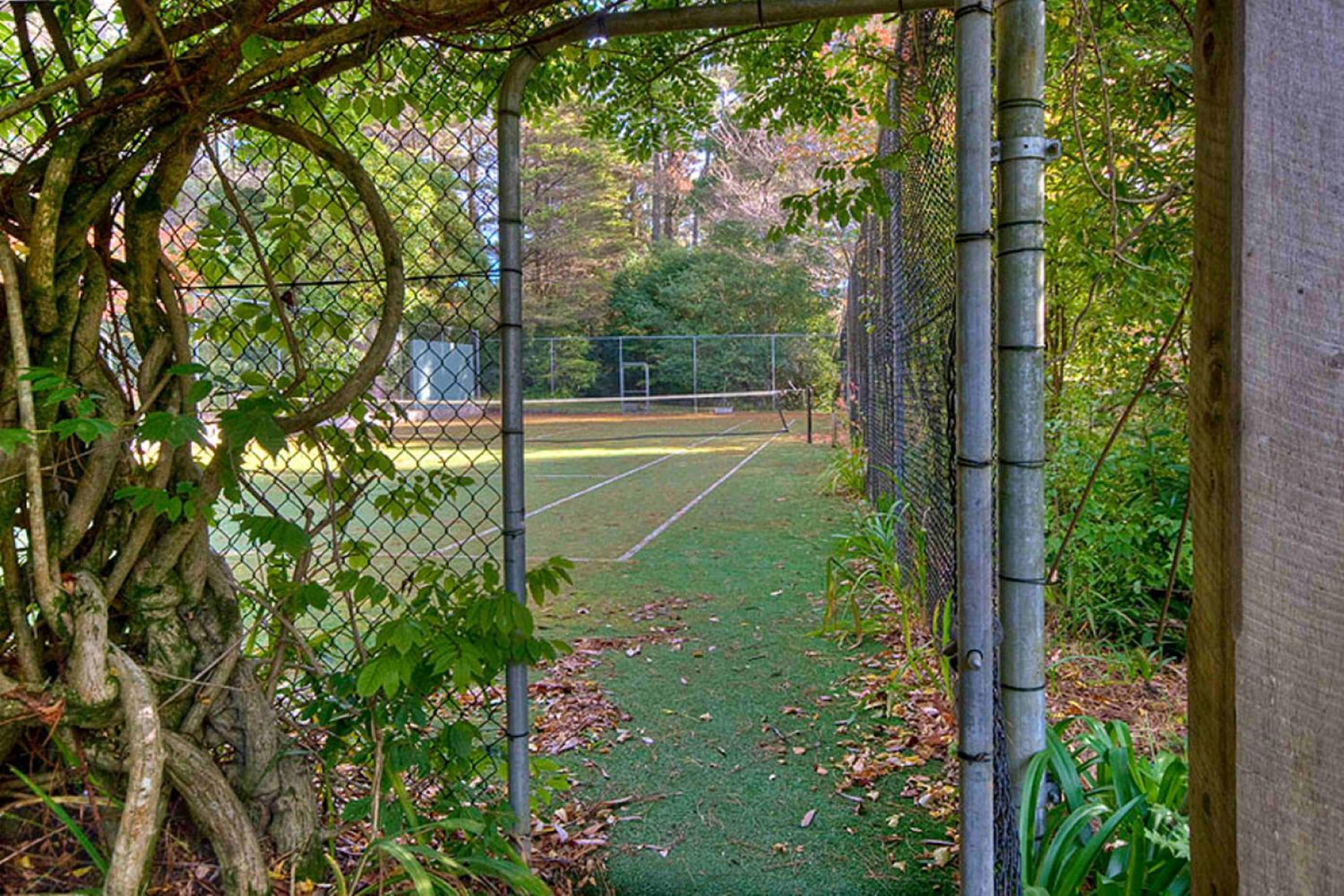Photo 11