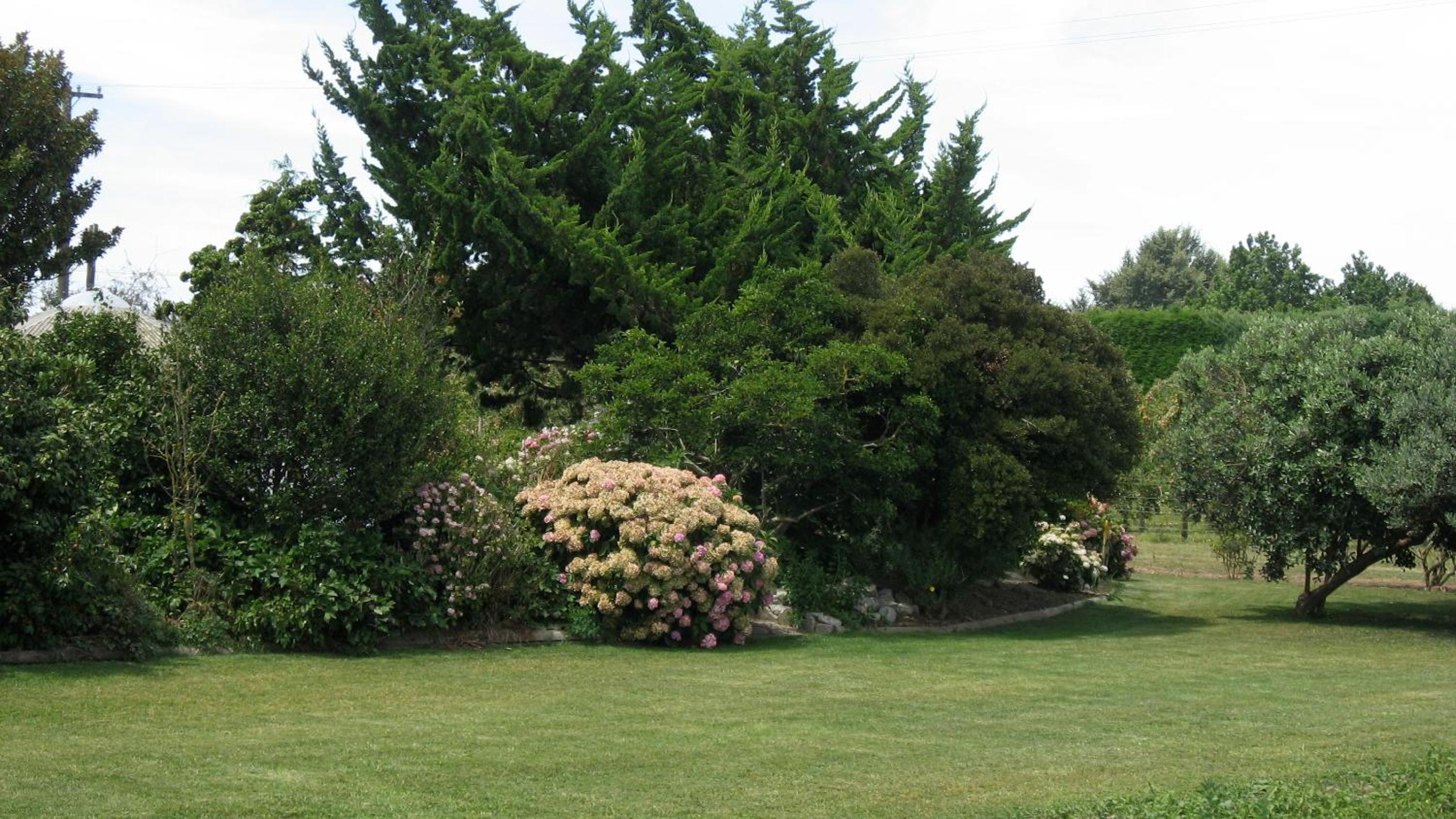 Bluebell Lodge and Cottage
