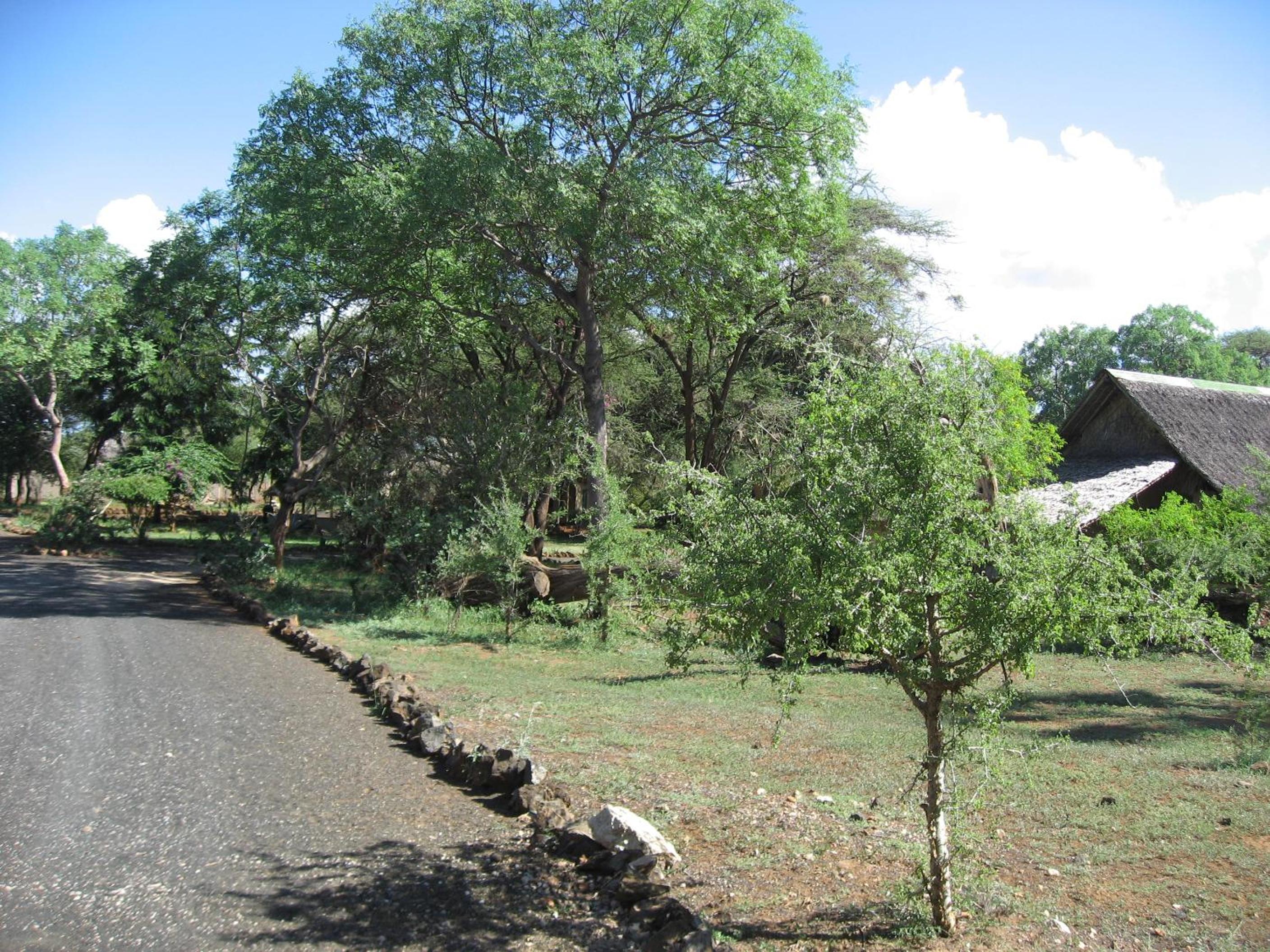 Severin Safari Camp