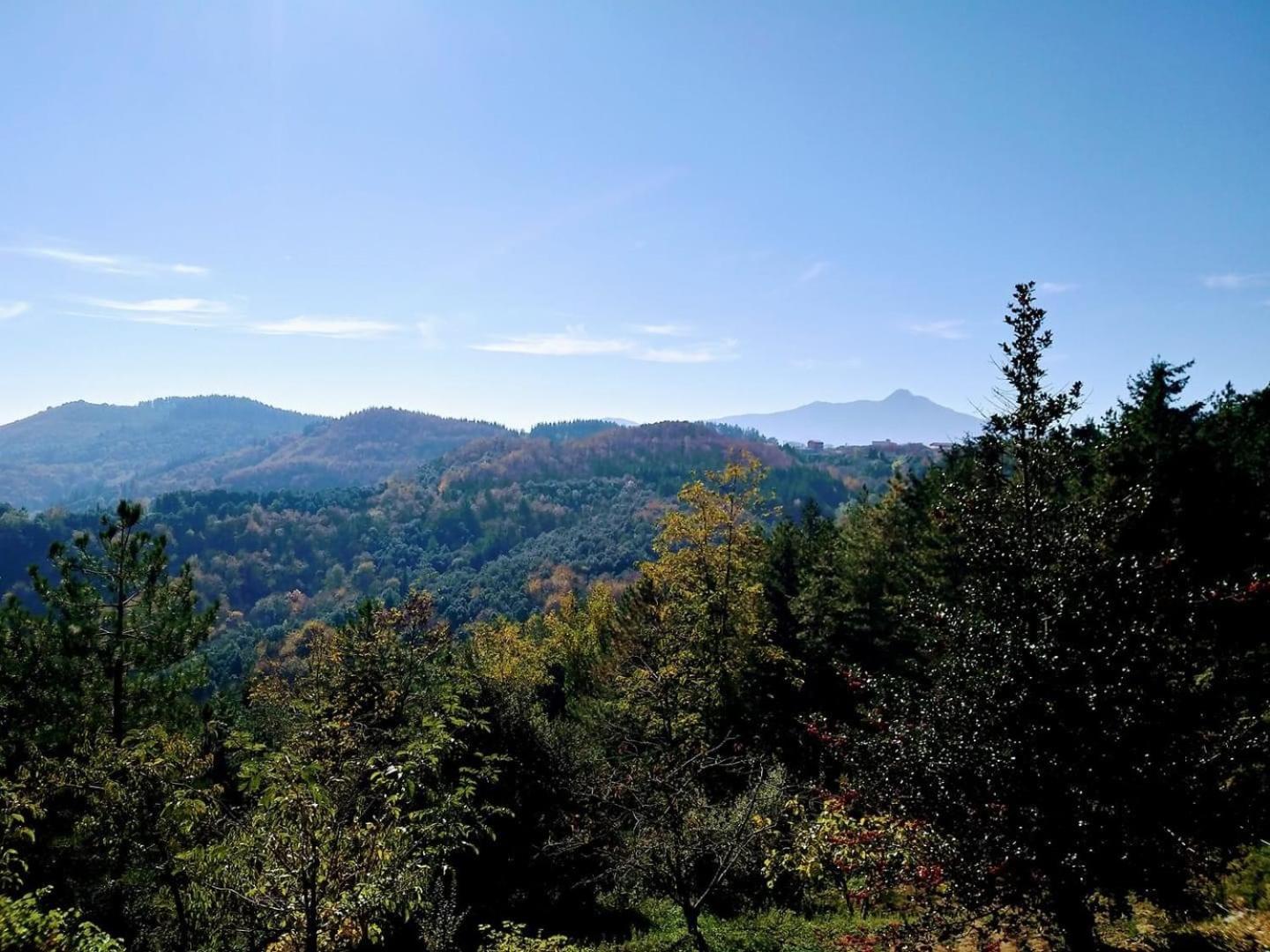 Apartaments els Pins - Sant Hilari Sacalm view 3