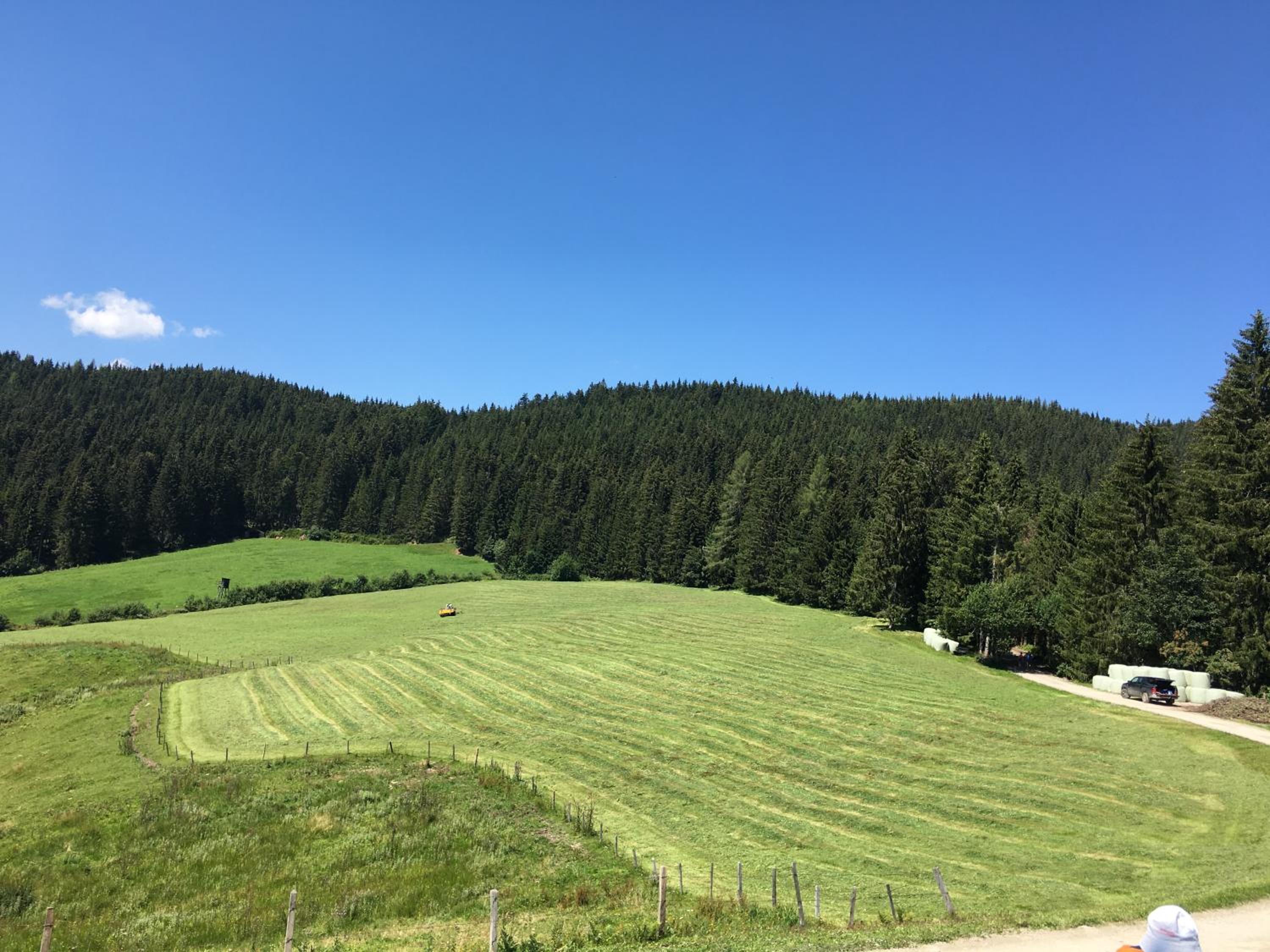 Lindbichlhof Urlaub am Bio Bauernhof