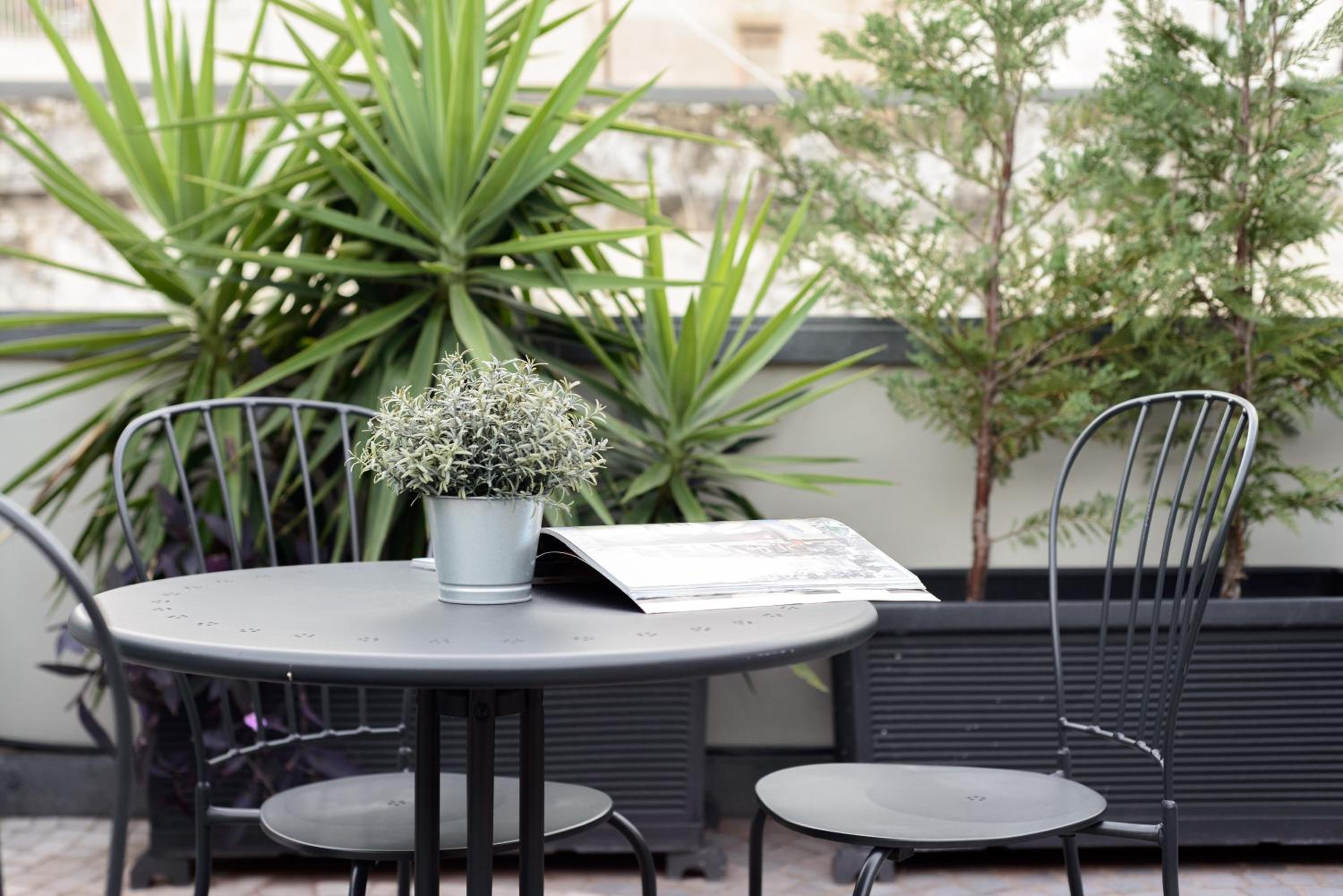balance & terrace