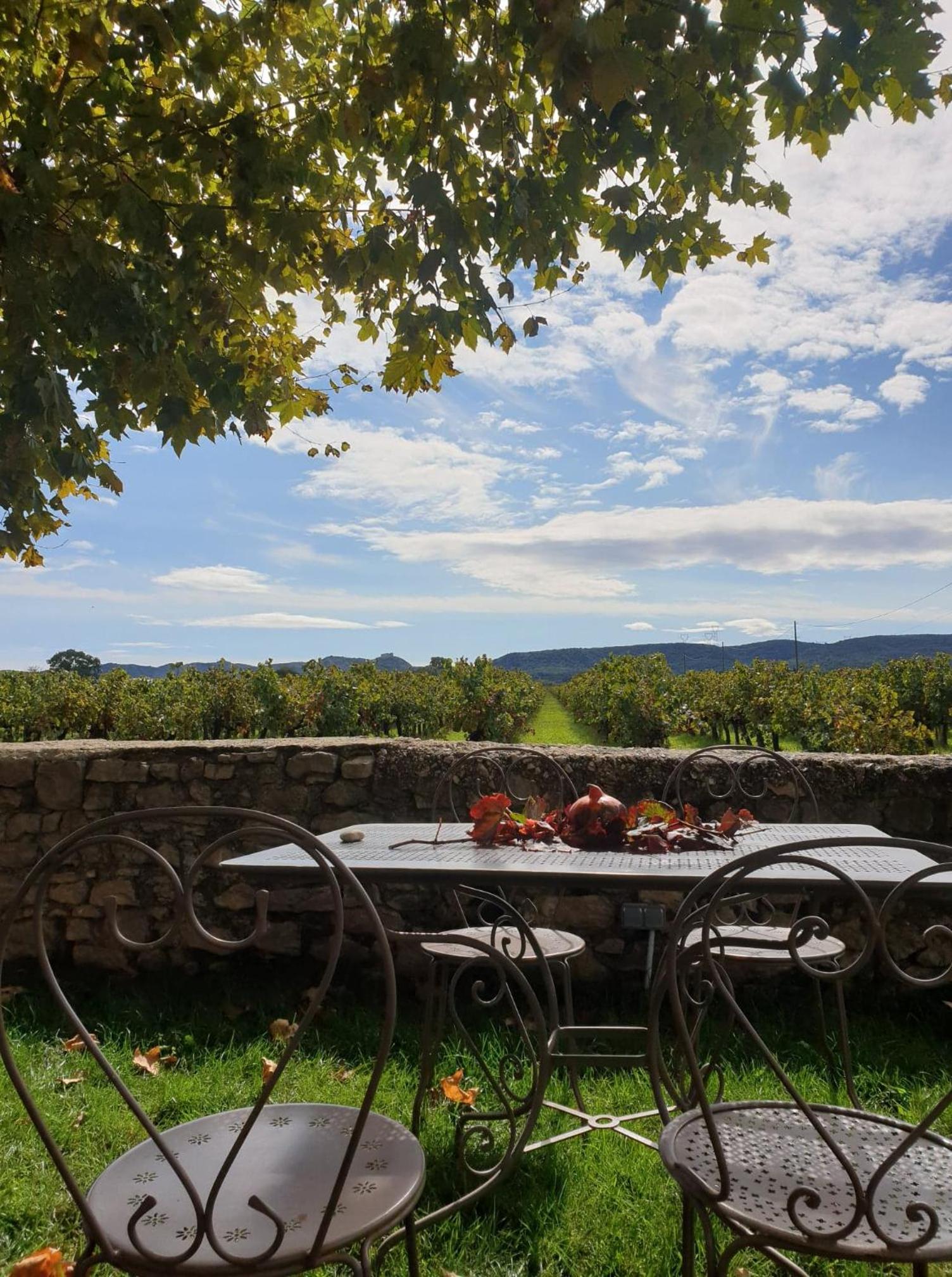 Domaine de Sévanes view 5