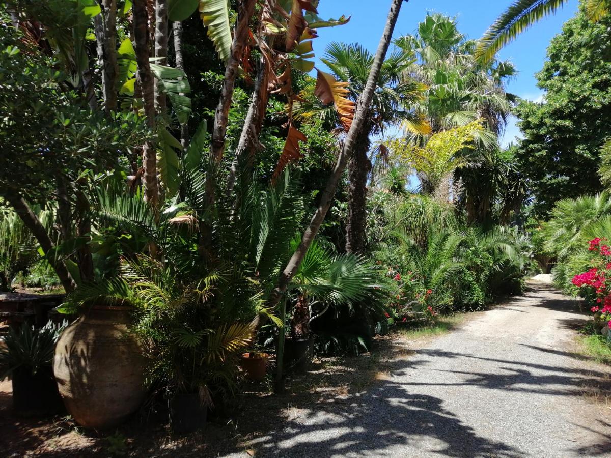 Villa Loco photo 2