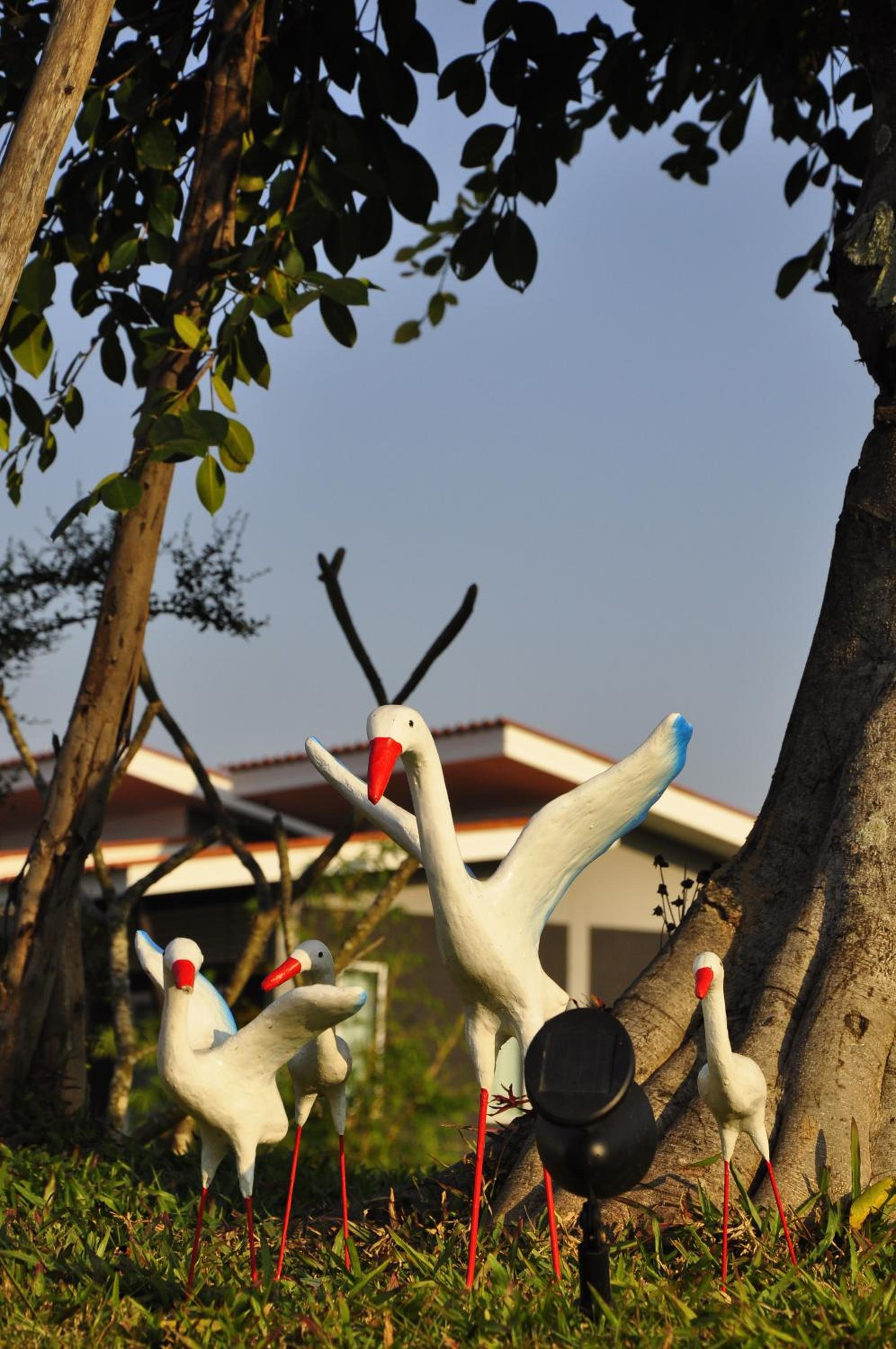 Chiang Rai Khuakrae Resort
