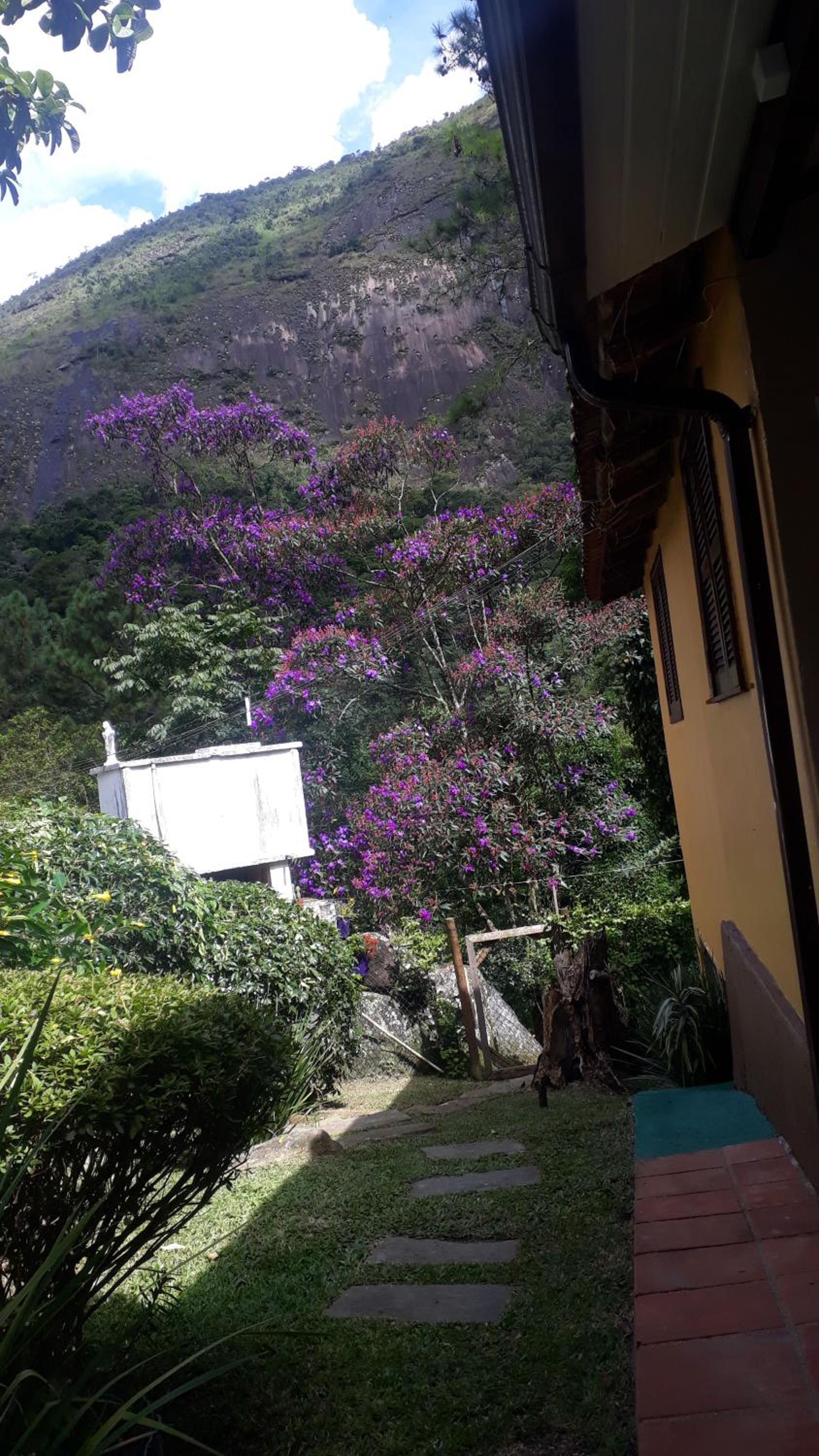 Casa do lenhador