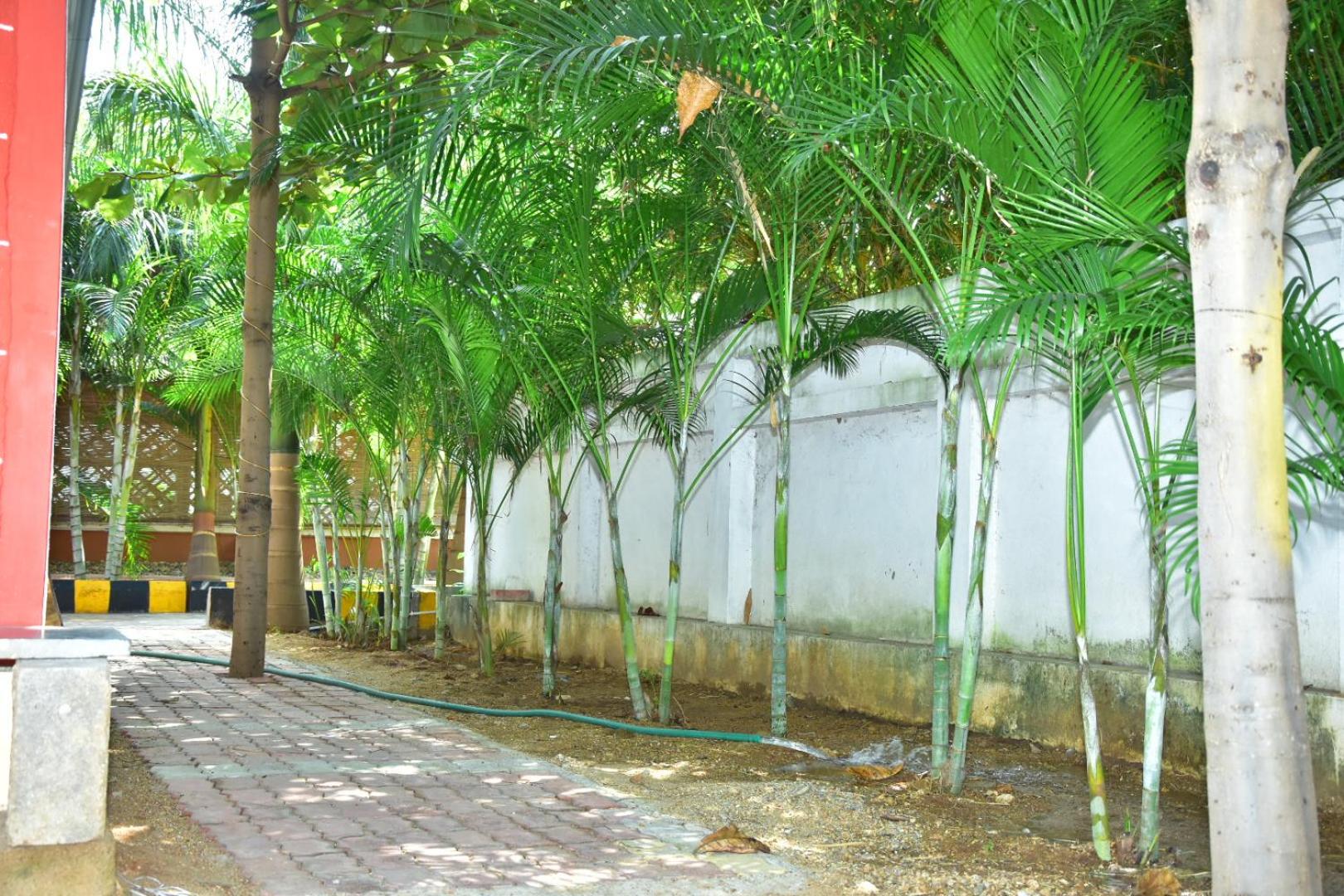 Photo 43