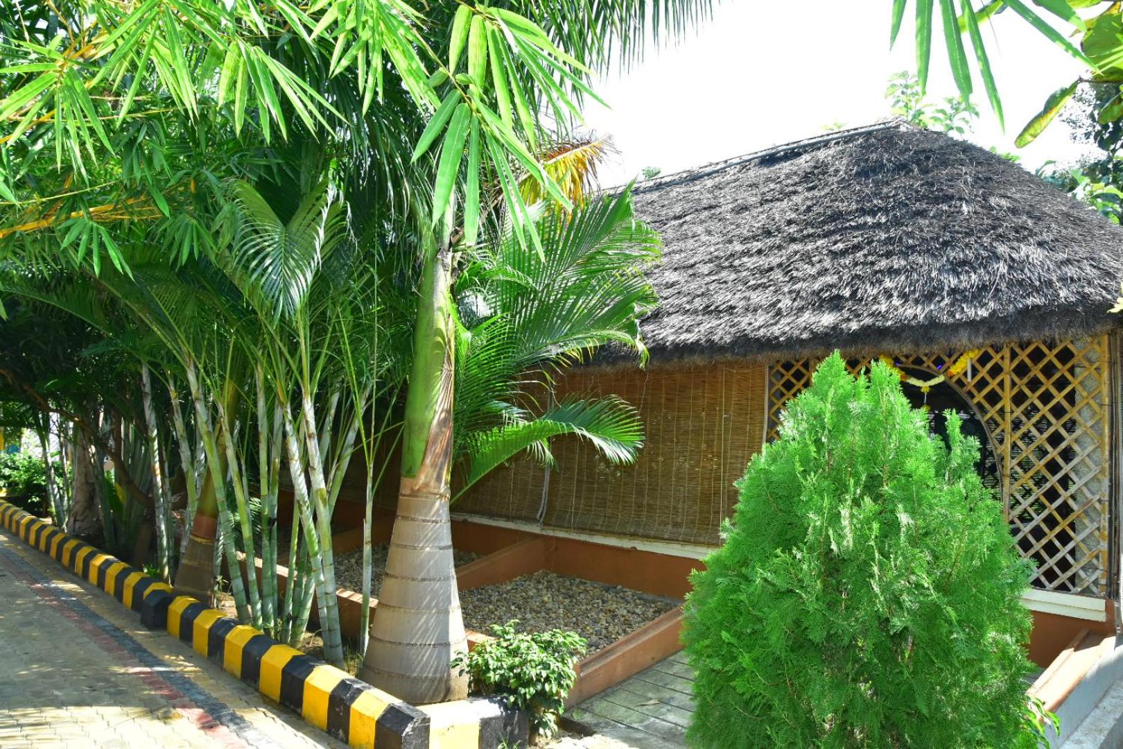Photo 45