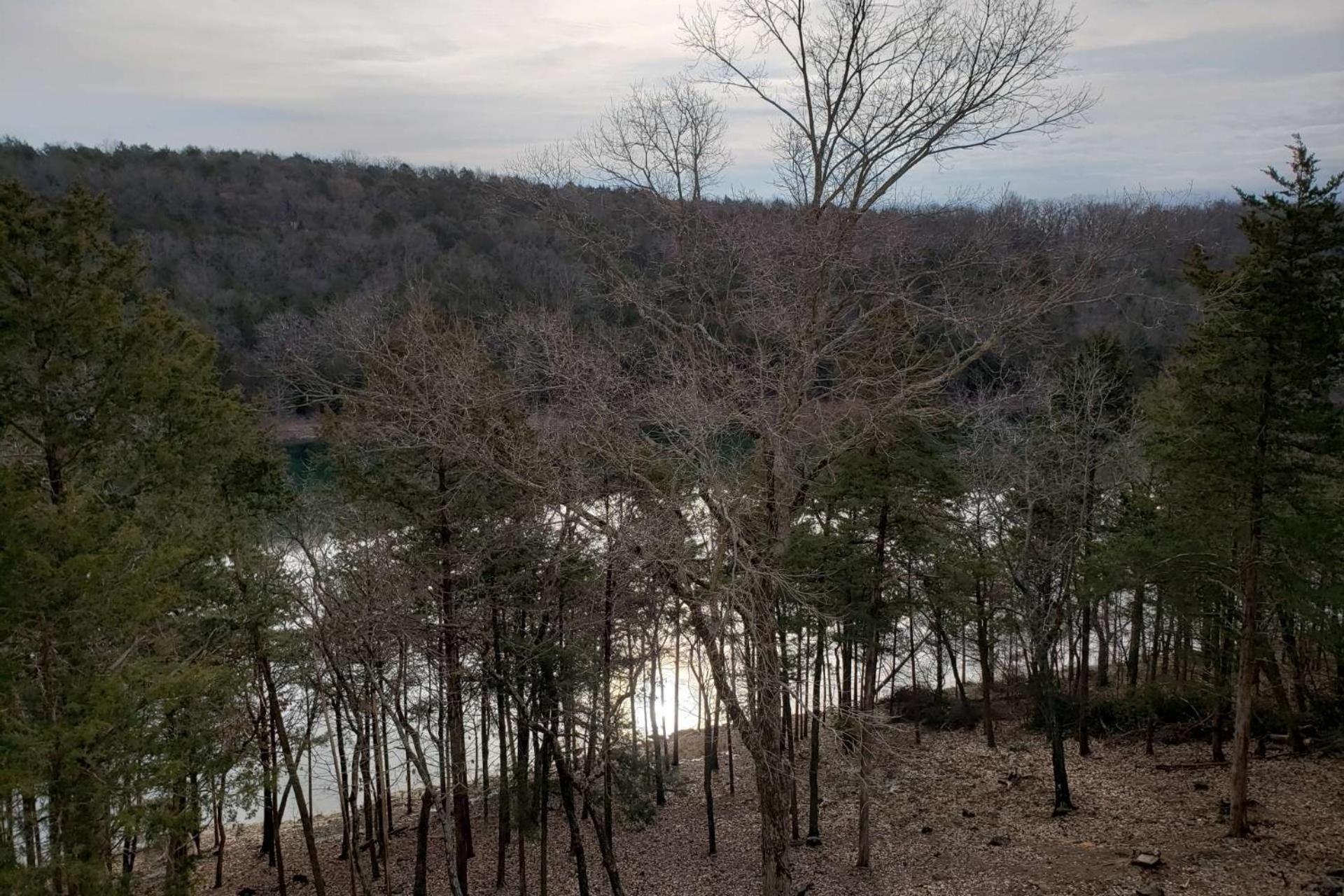 Ozark Mountain 2BDR 1401 view 4