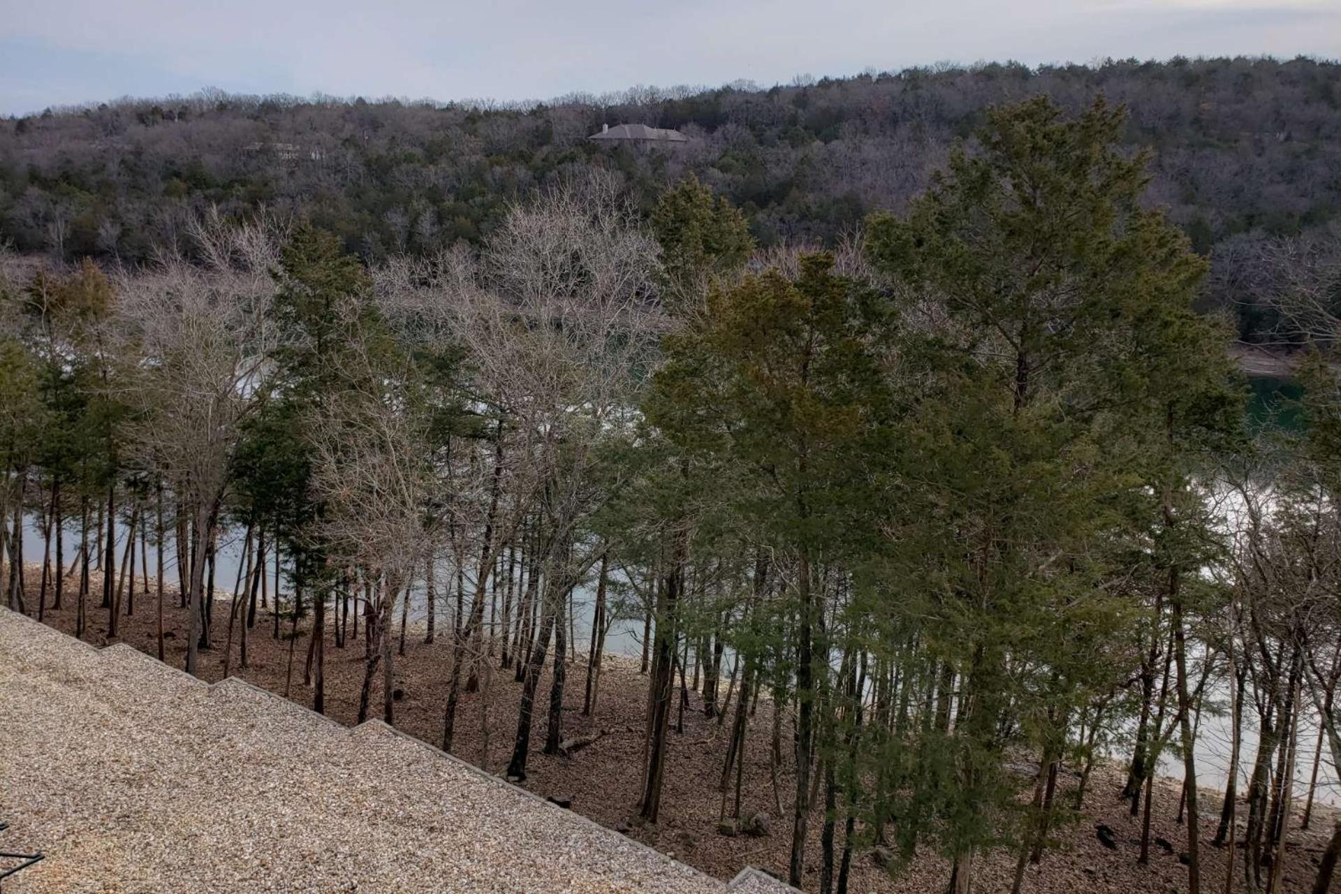 Ozark Mountain 2BDR 1401 view 5