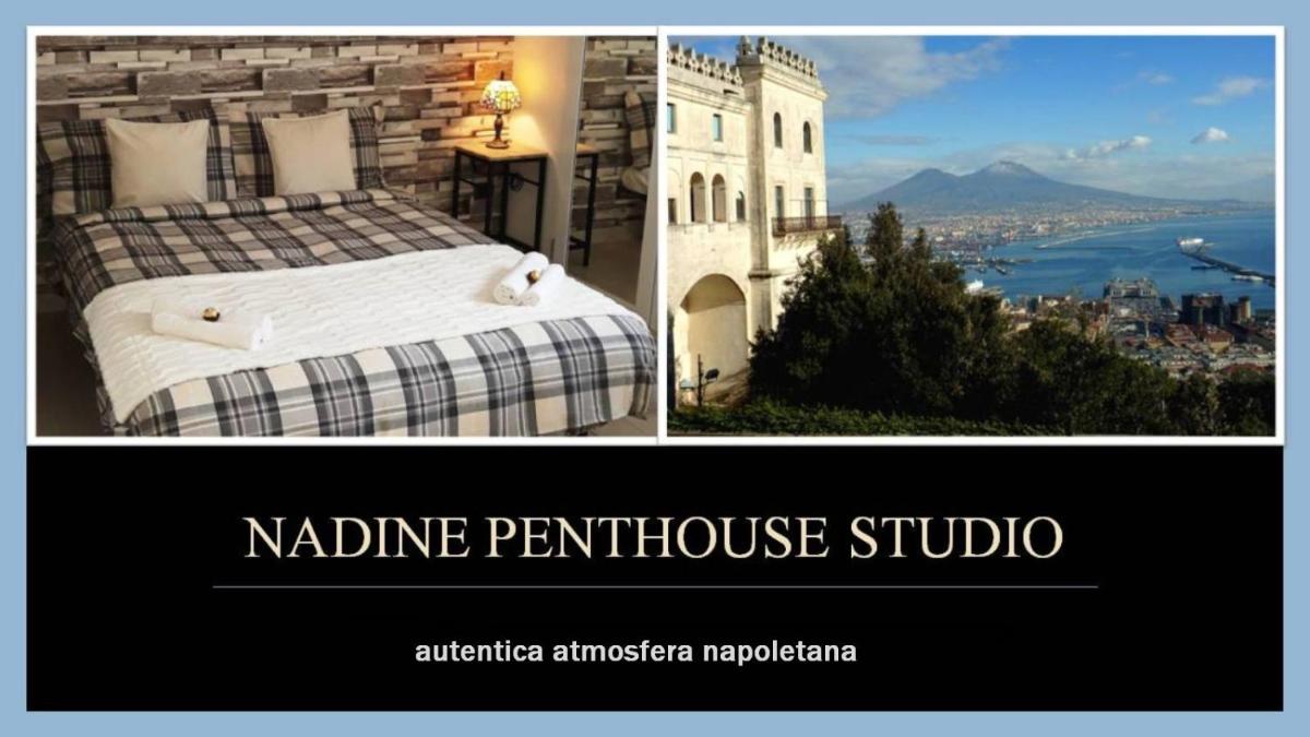 Nadine Penthouse Studio photo 4