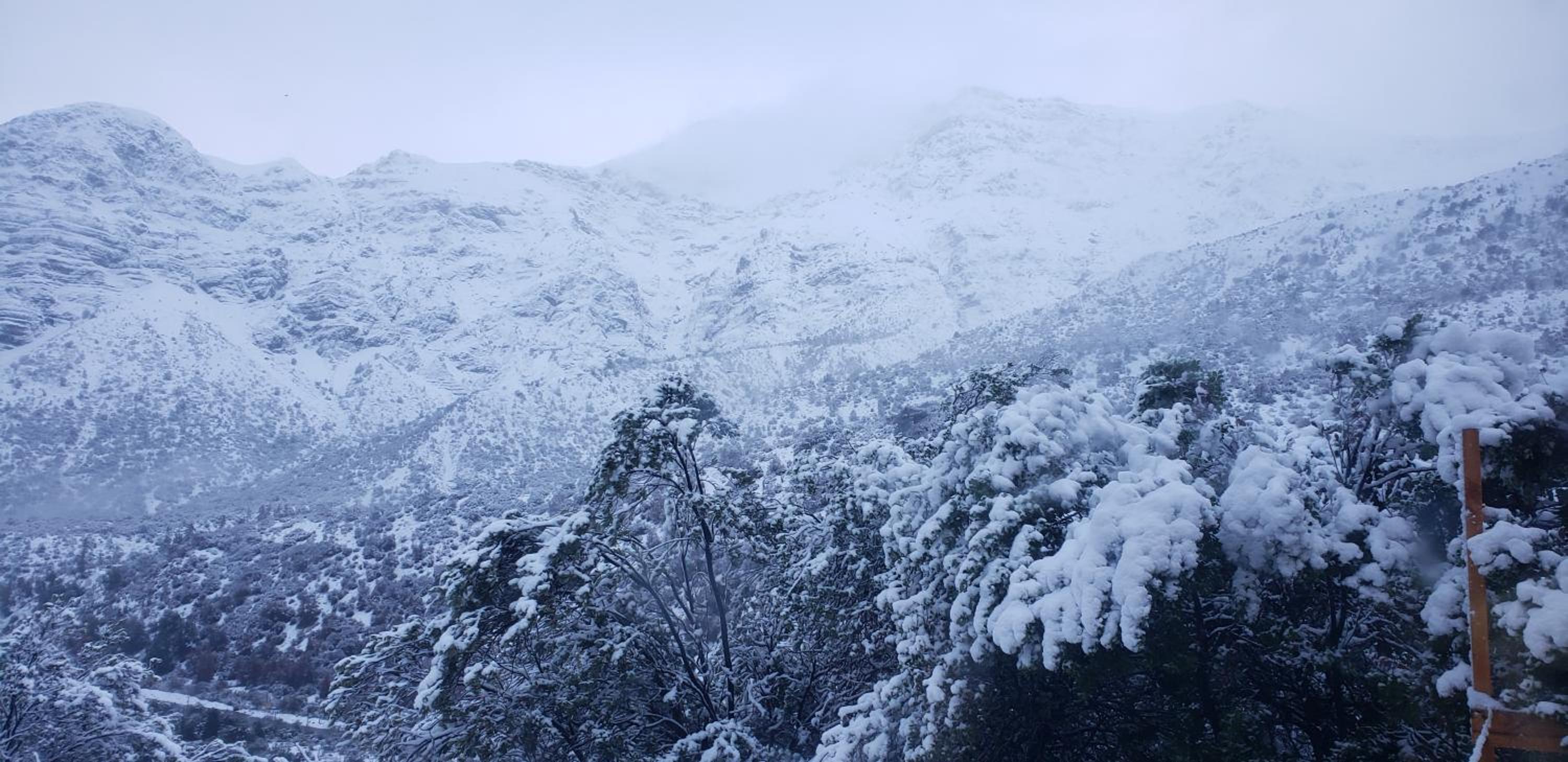 Refugio Cordillera Flora endógena Bosque Esclerófilo