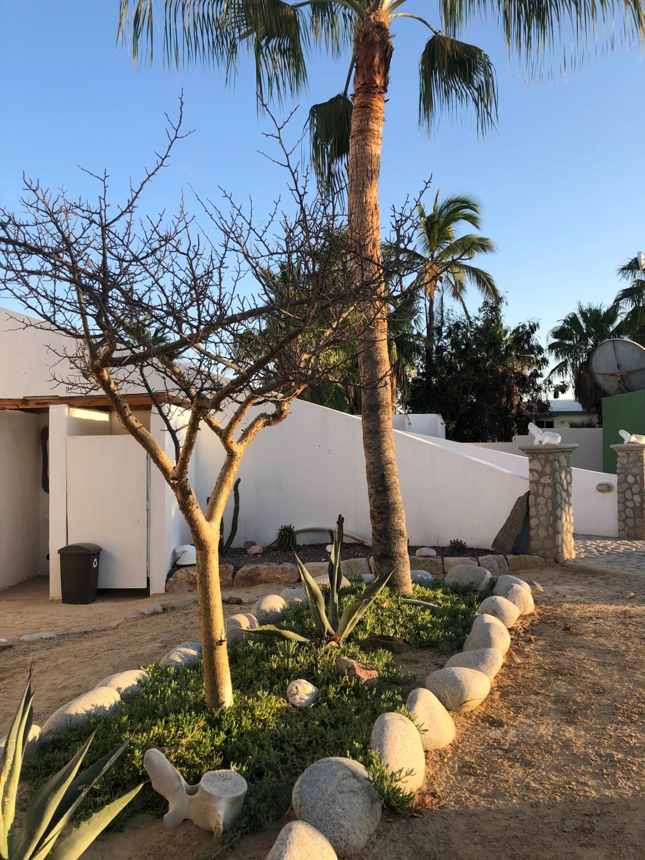 La Ventana Beach Resort