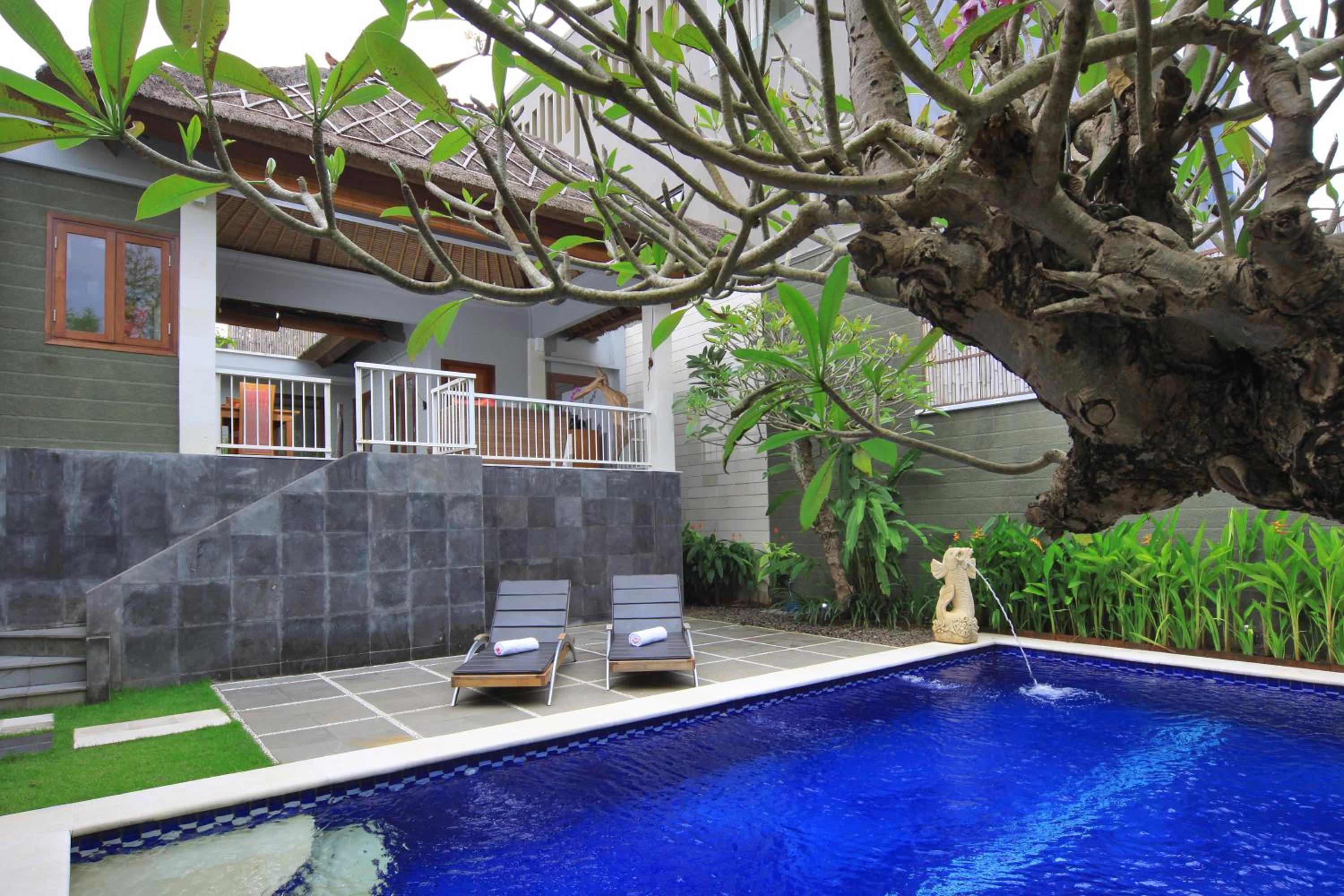 Abi Bali Resort and Villa view 5