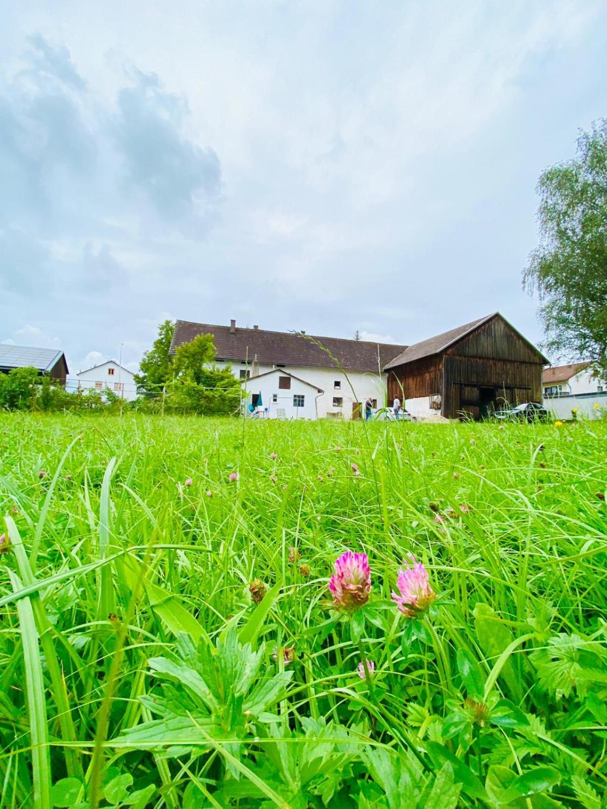 Bauernhaus am Sallingbach view 2