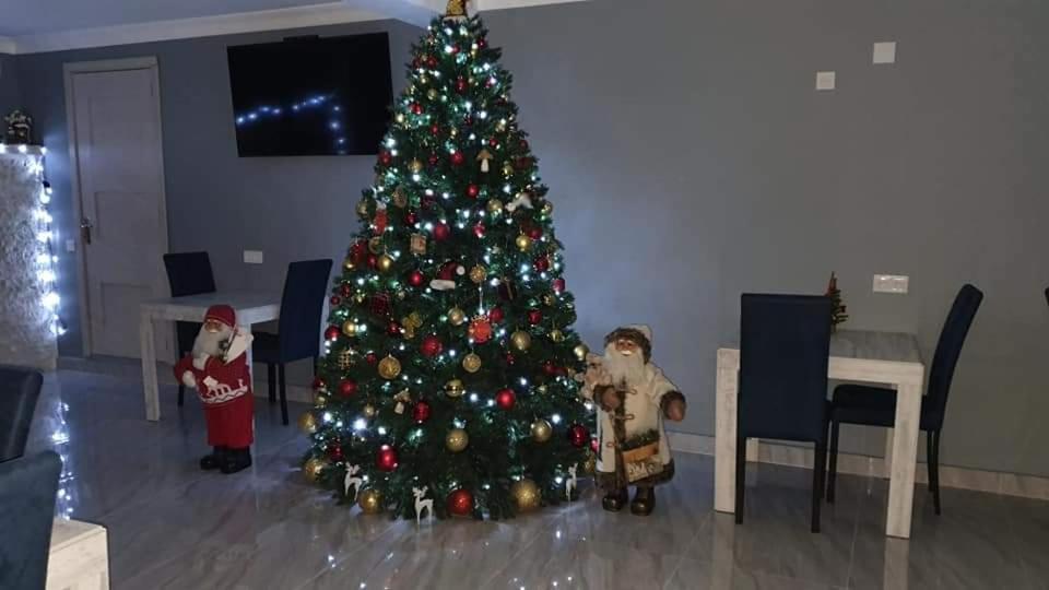Photo 46