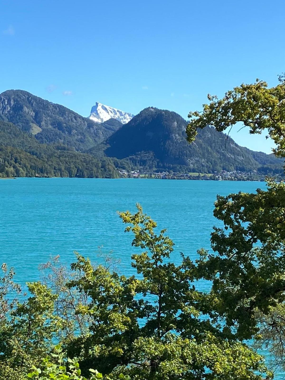 Feichtingerbauer