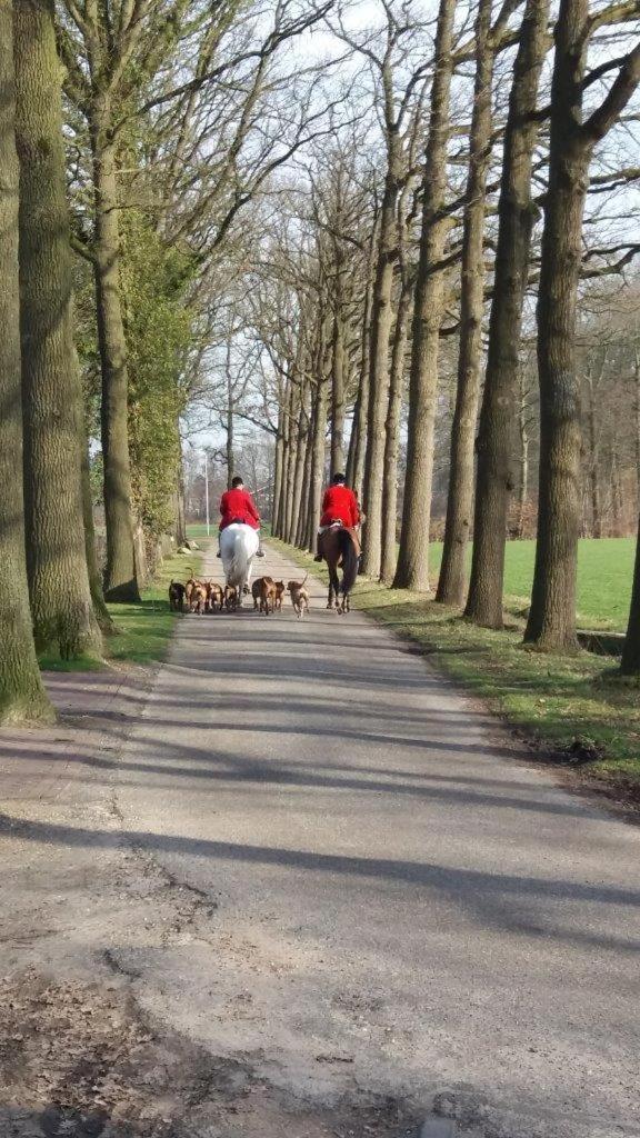 Hoeve de Laan, photo 34