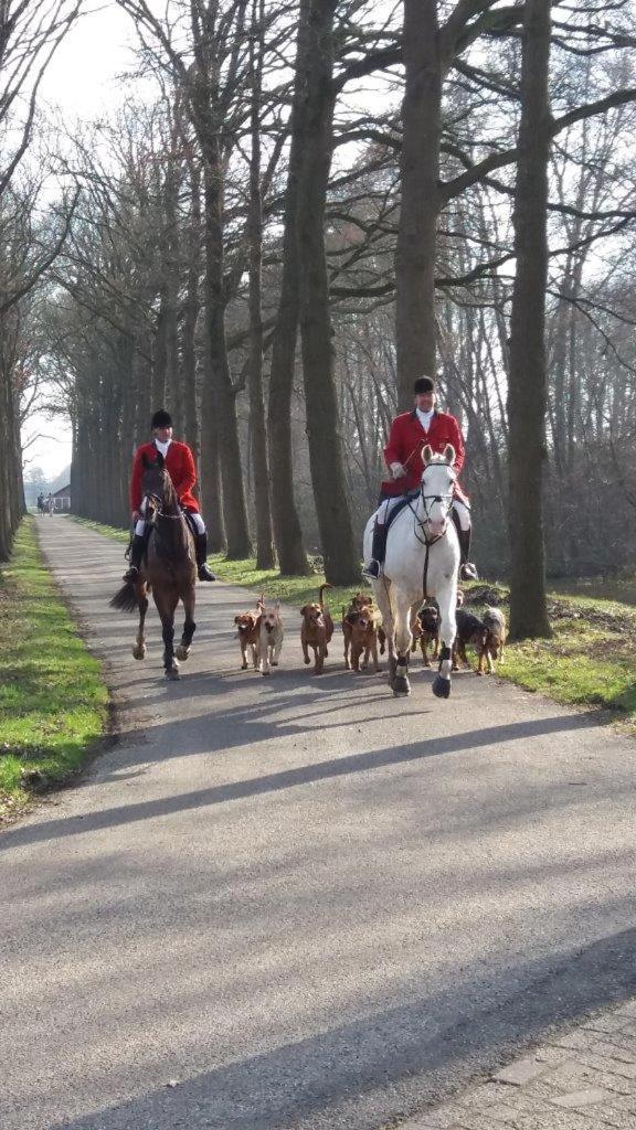 Hoeve de Laan, photo 24