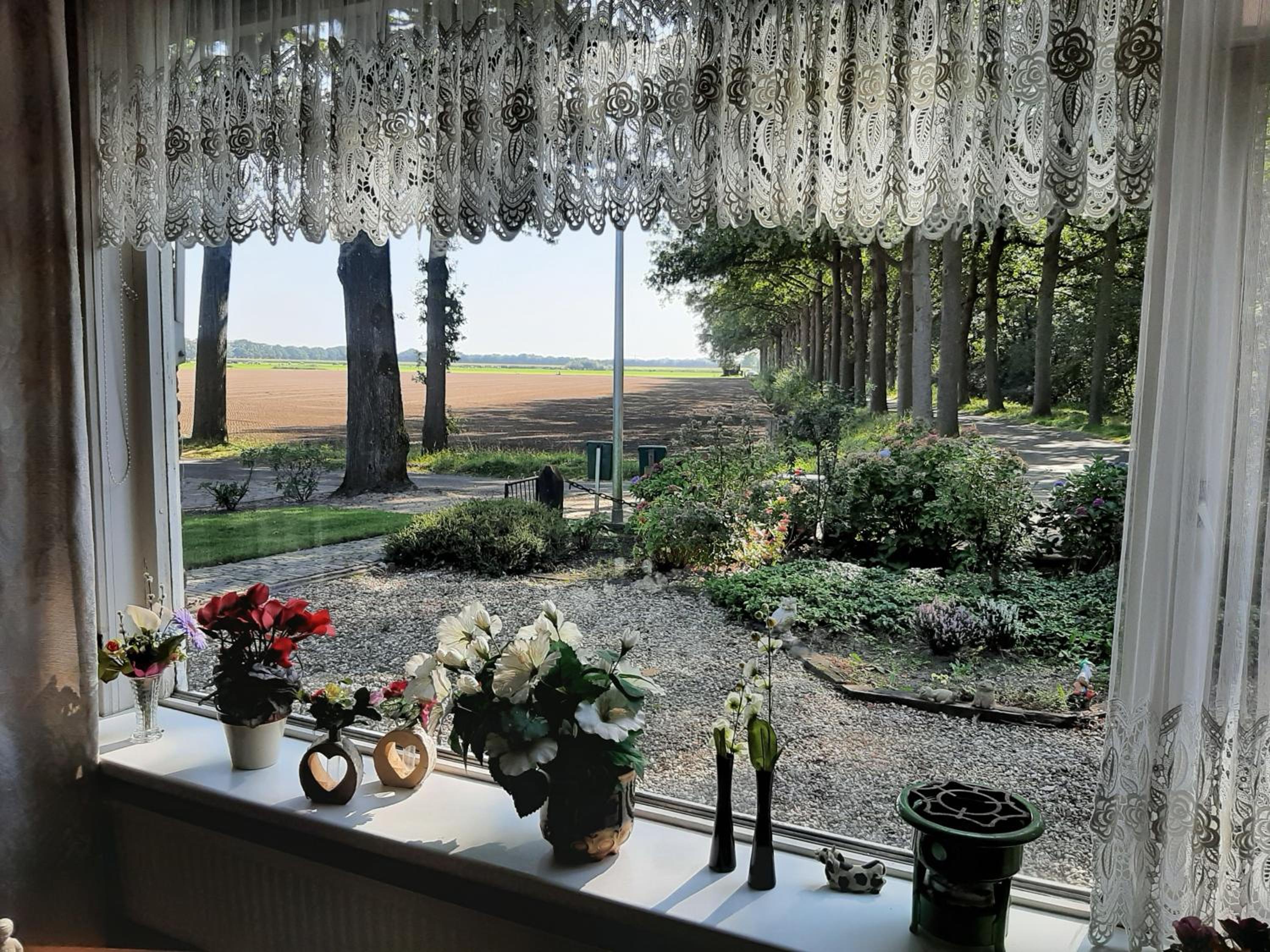 Hoeve de Laan, photo 22