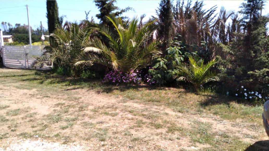 Casa en la playa,la Ballena,los Quinquelles