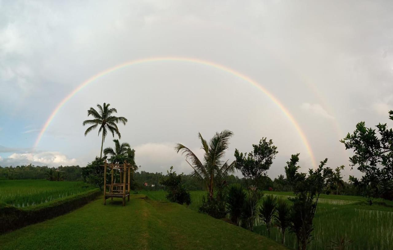 KUBU D'UME HOMESTAY view 5