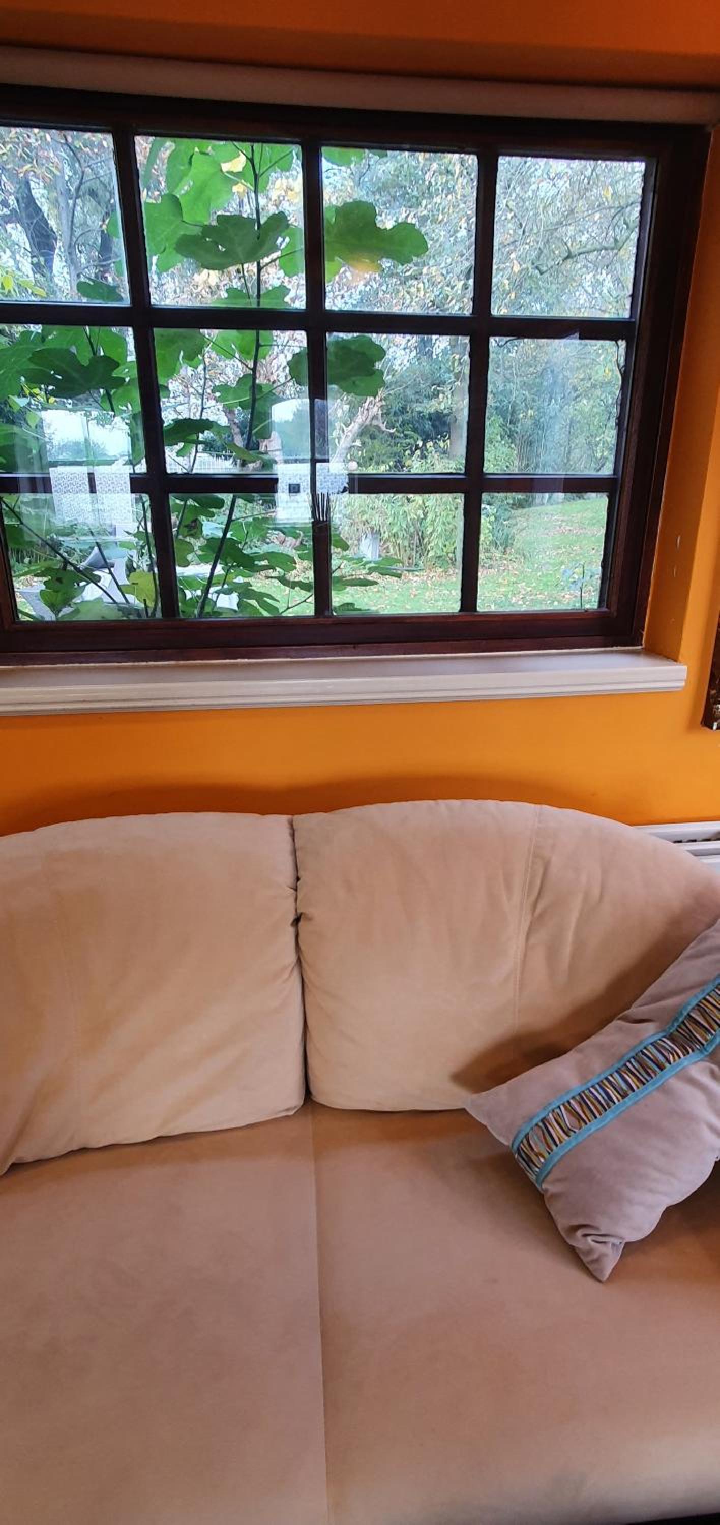Photo 78