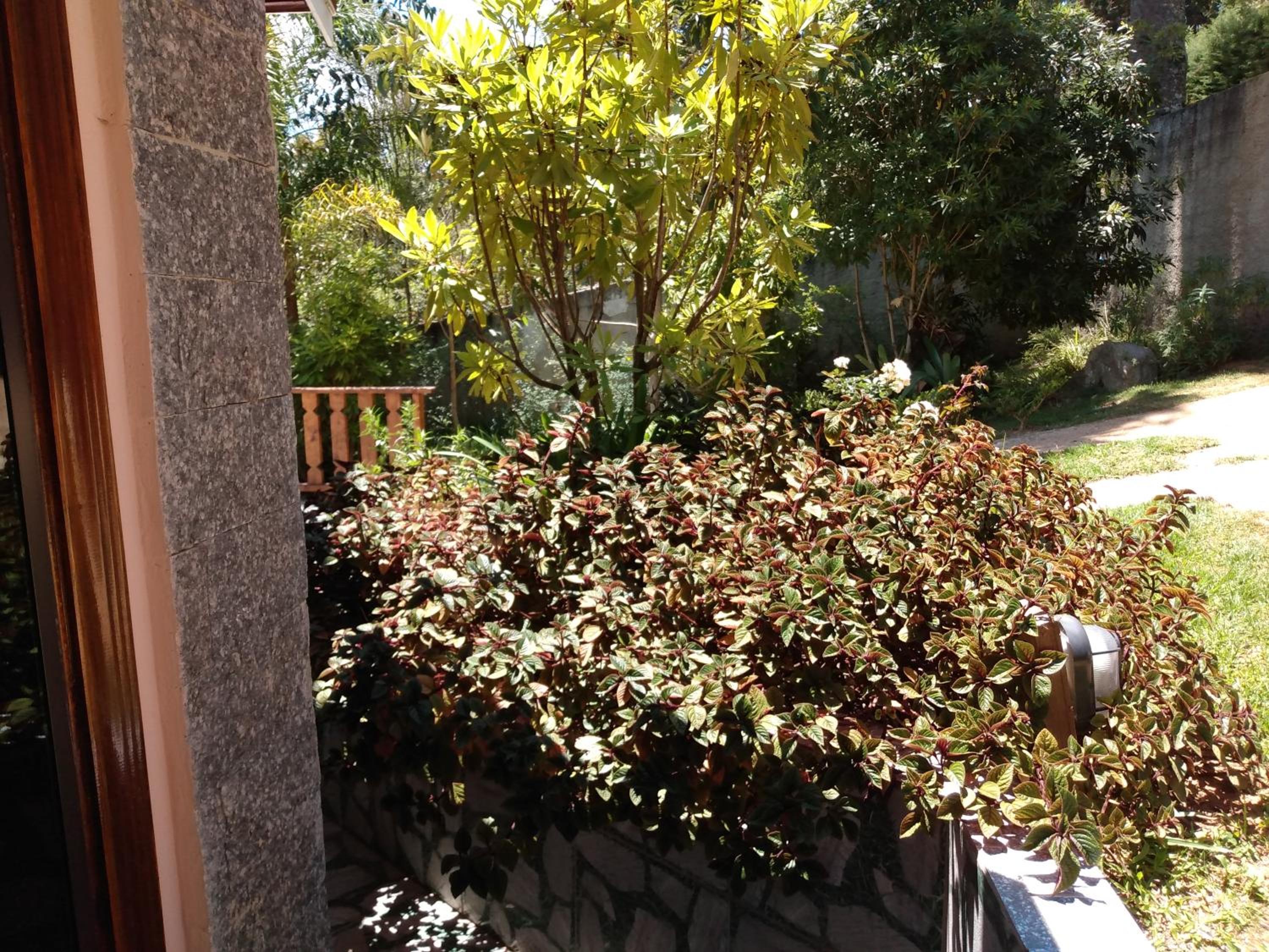 Cantinho do Baianinho