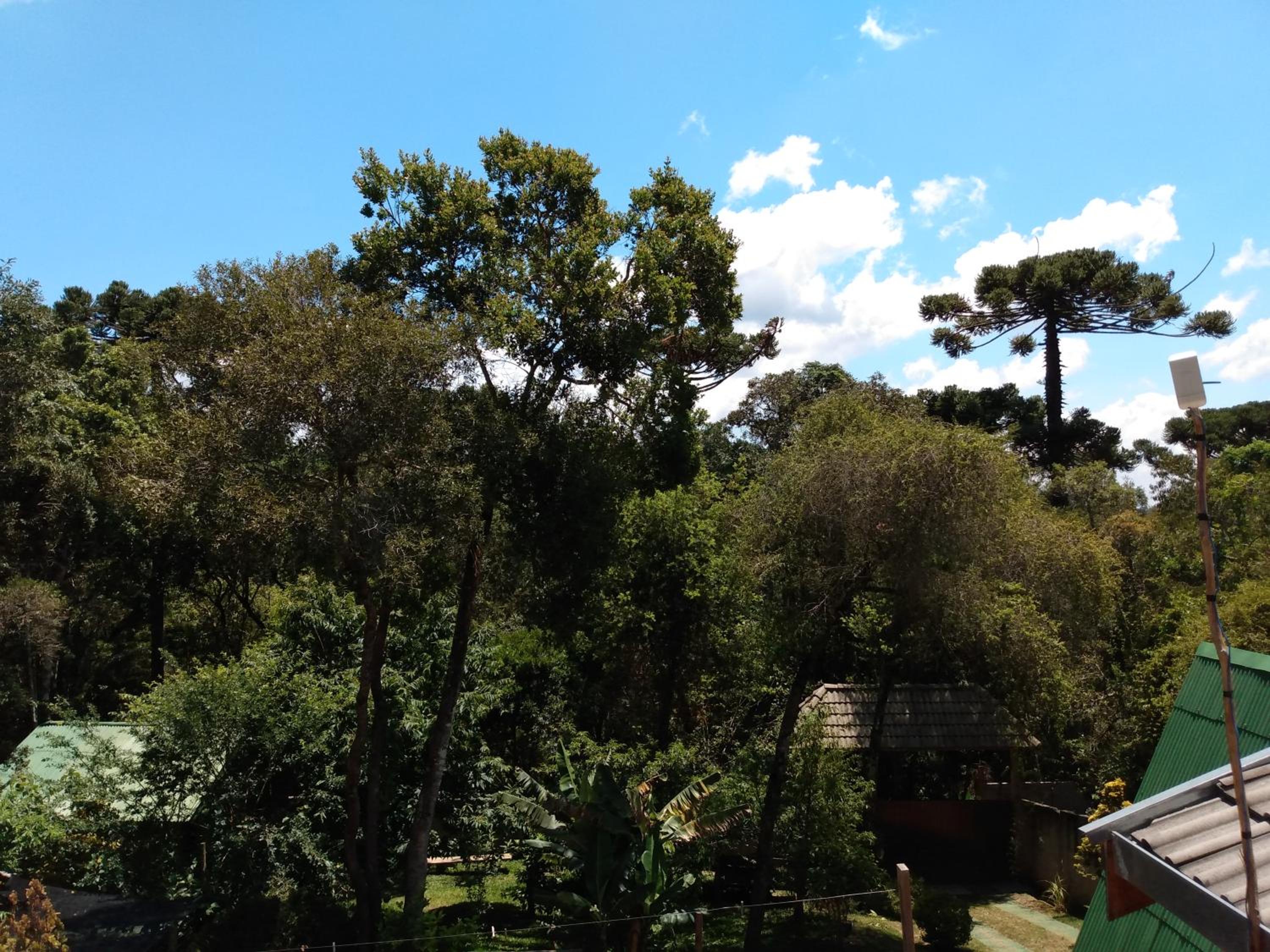 Cantinho do Baianinho