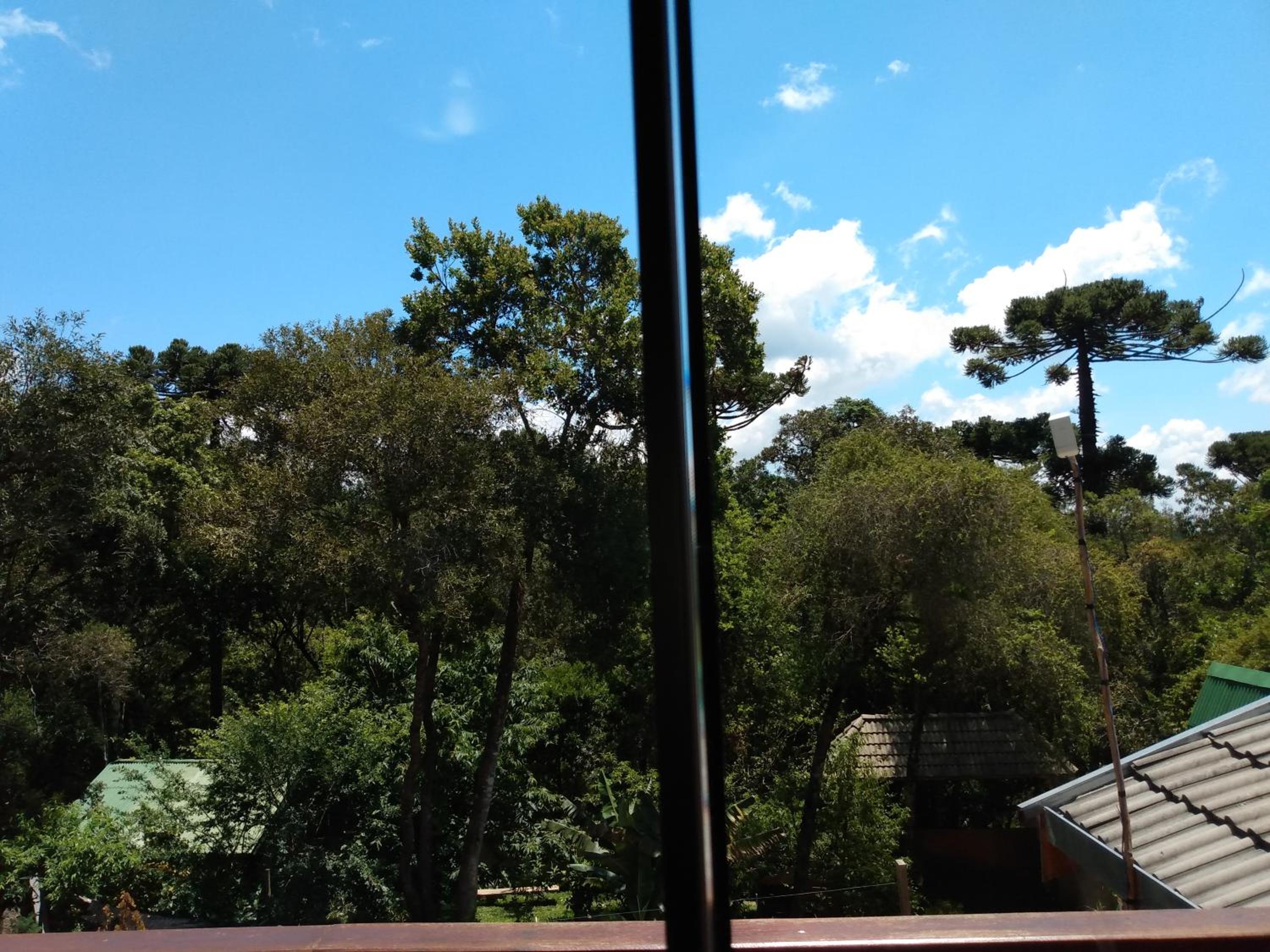 Cantinho do Baianinho