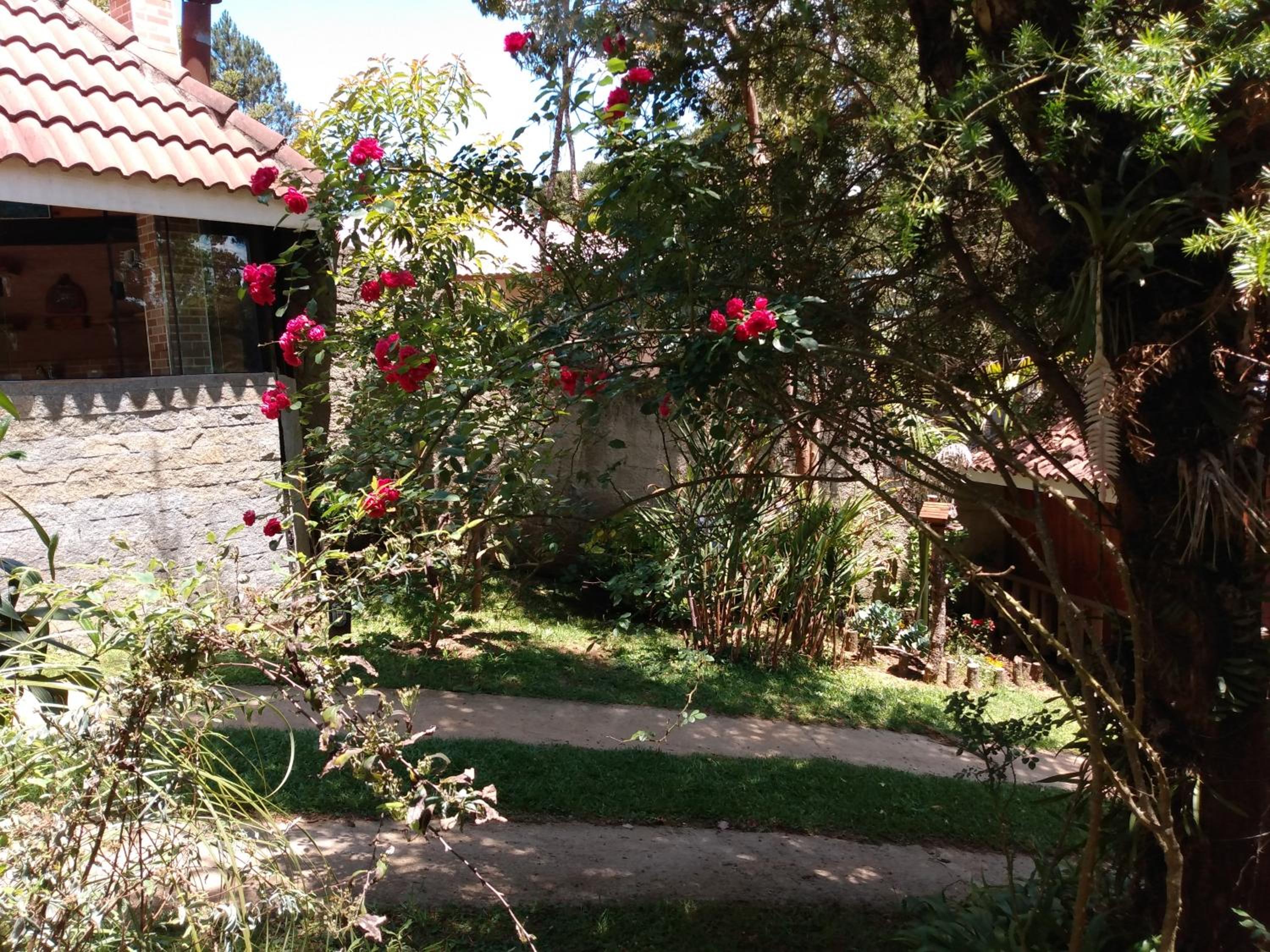 Cantinho do Baianinho