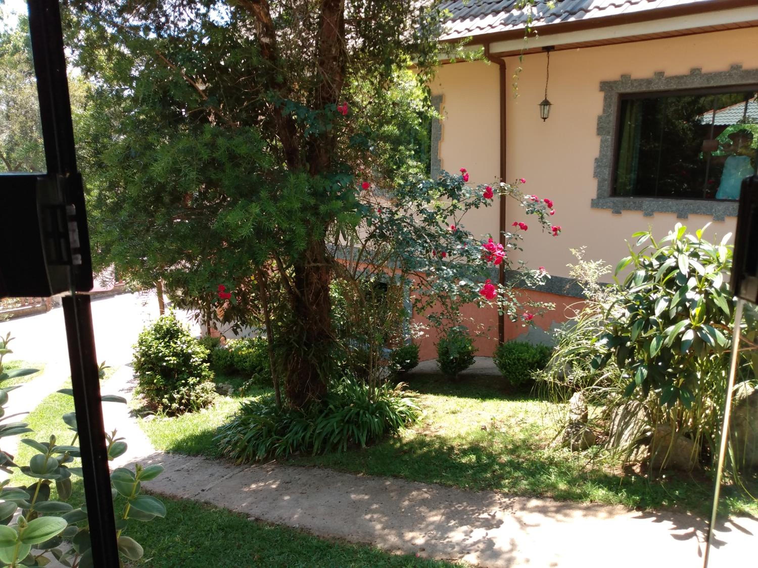 Cantinho do Baianinho