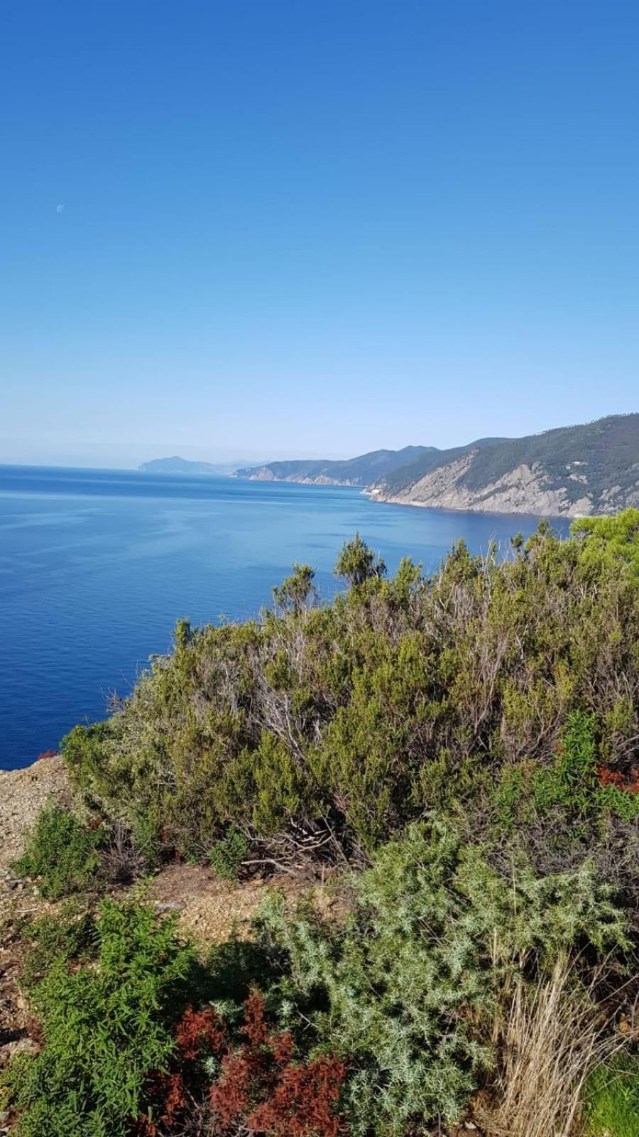 Fabienne view 2