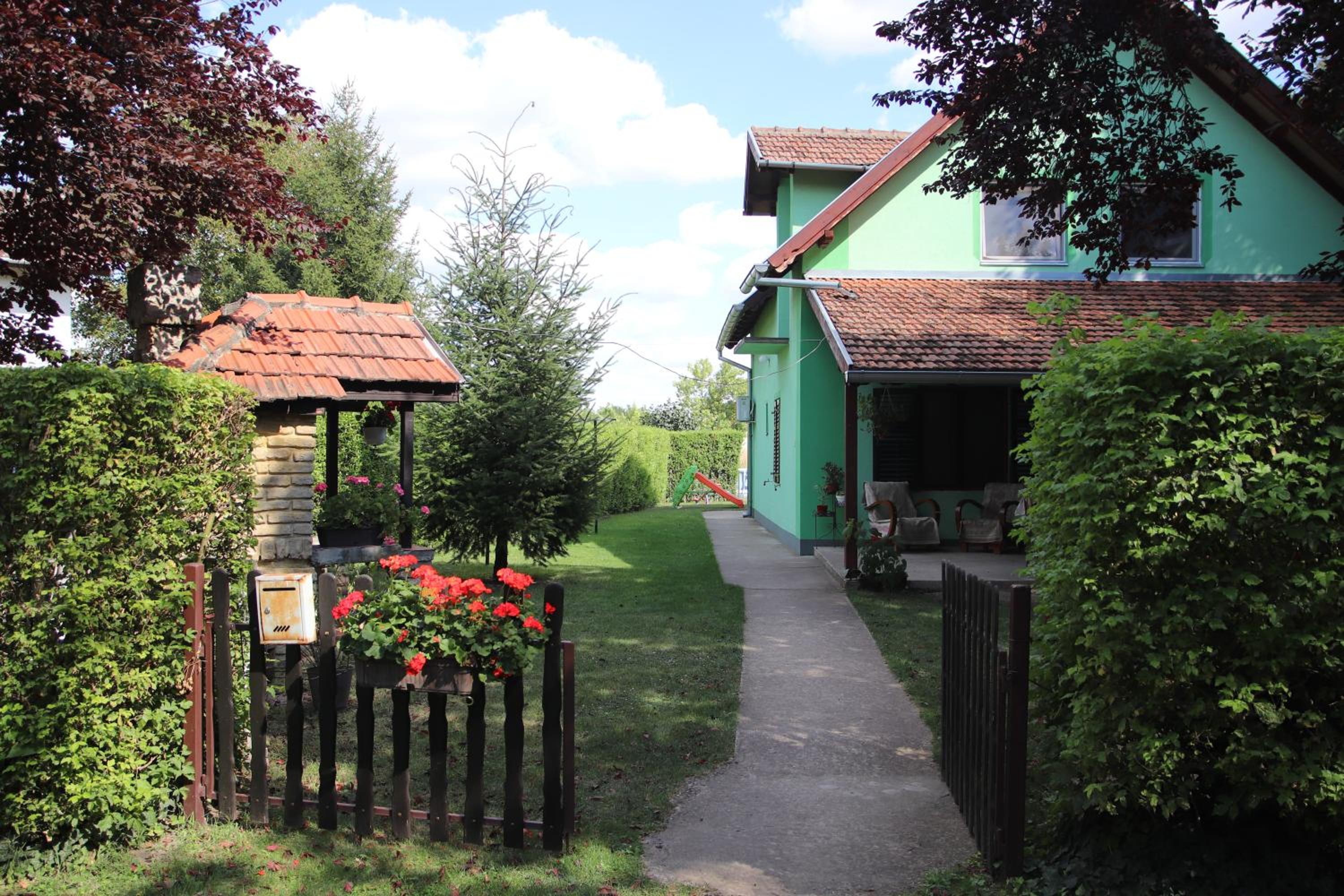 Photo 6