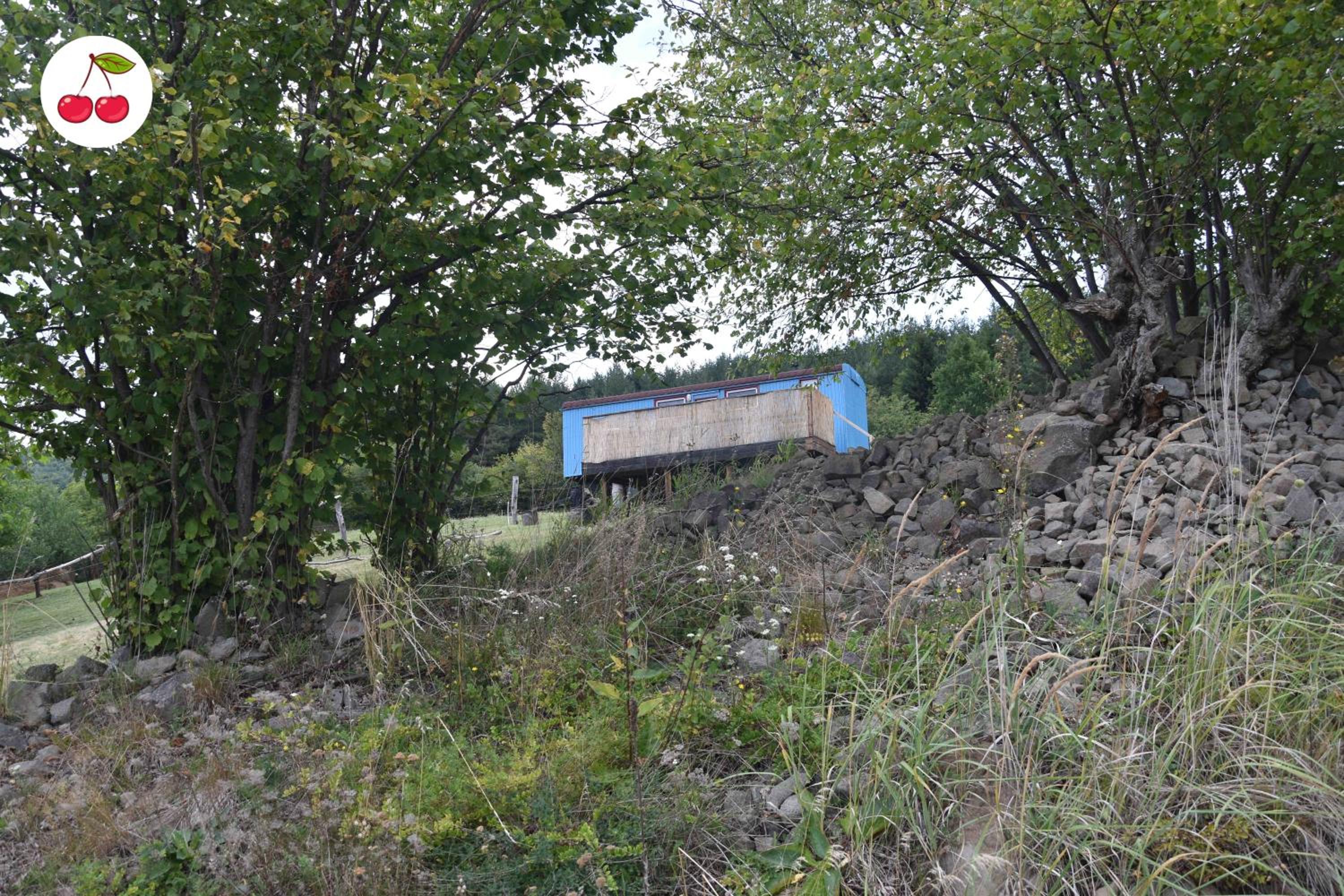 Photo 47