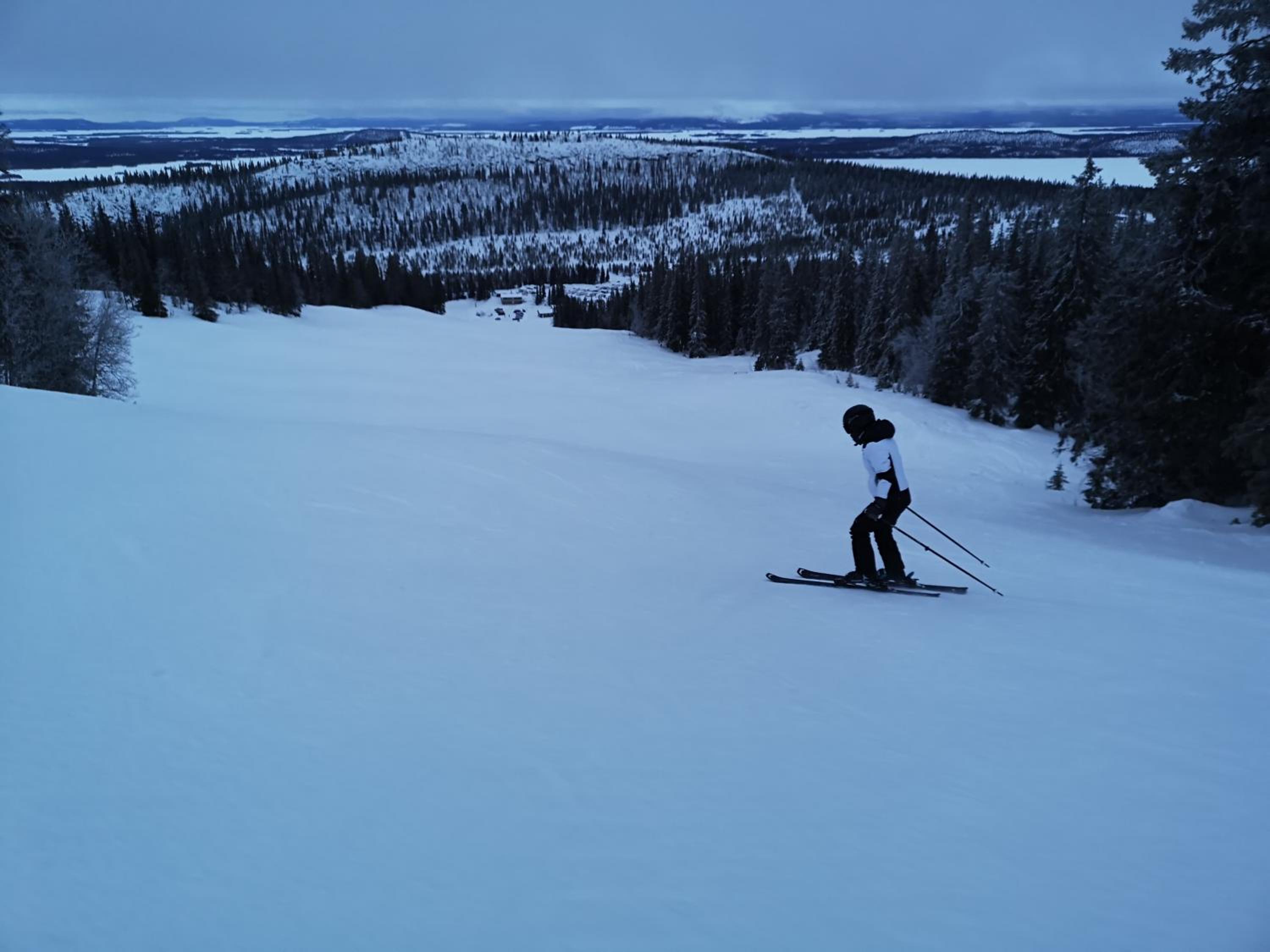 Photo 45