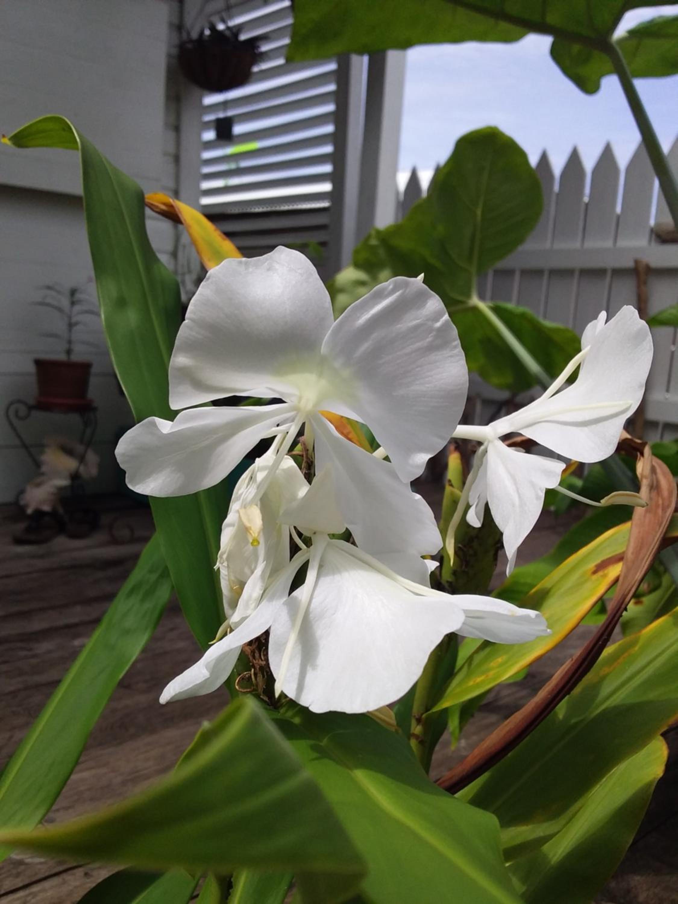 Photo 32
