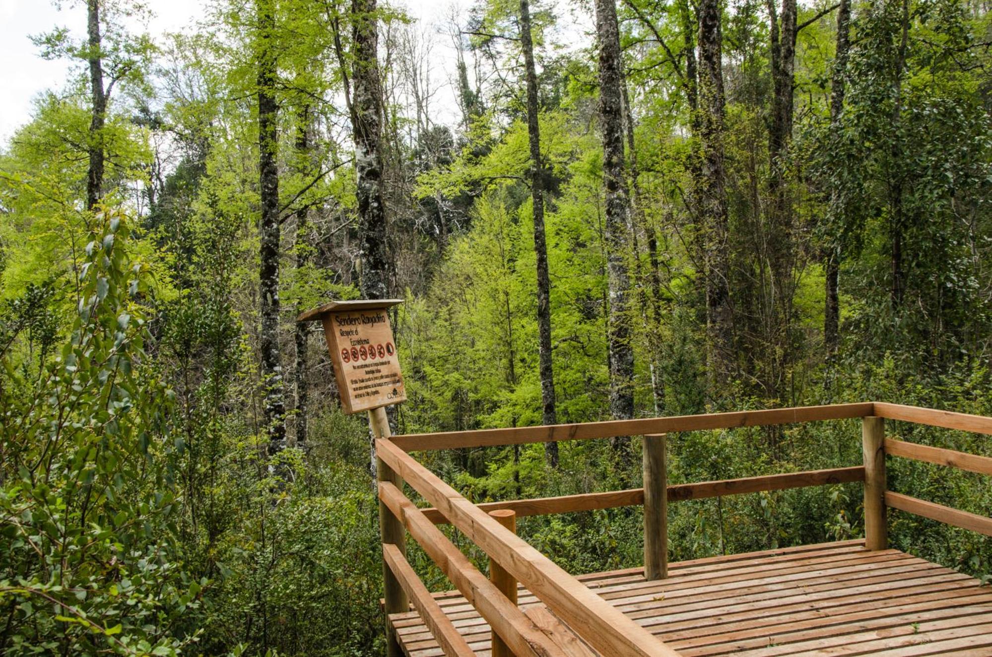 Proyecto COYAM, cabañas lofts, tinas privadas, sendero por el bosque