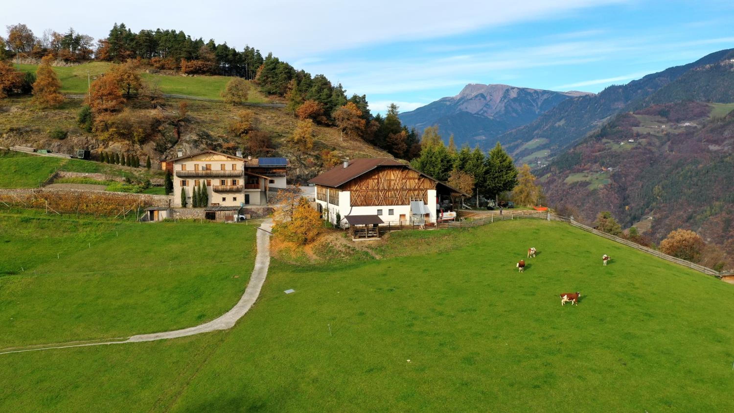 Unterkofler Farm Holiday - Peaceful Nature Stay with Stunning Panoramic Views near Bolzano view 5